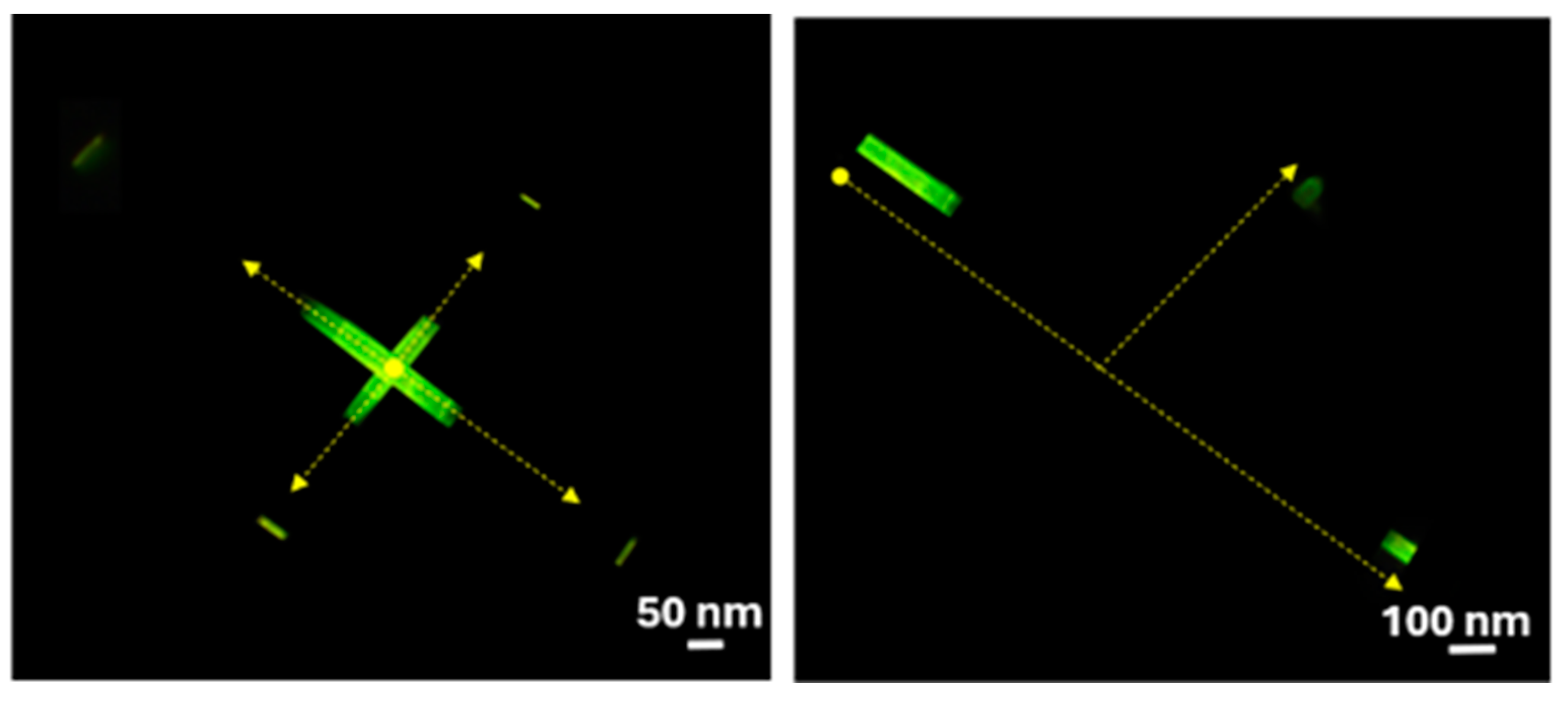 Nanomaterials 14 00822 g006