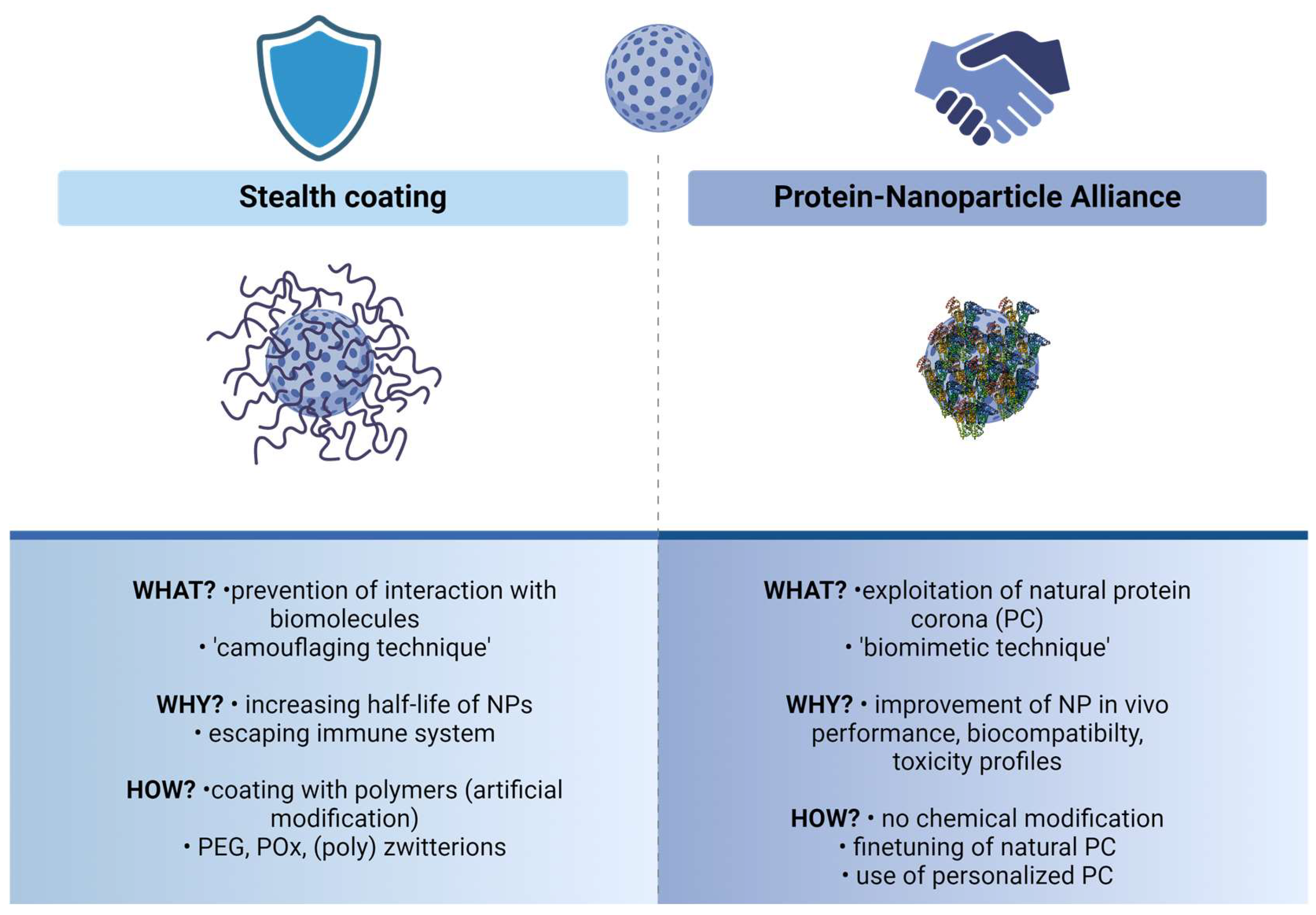 Nanomaterials 14 00823 g001