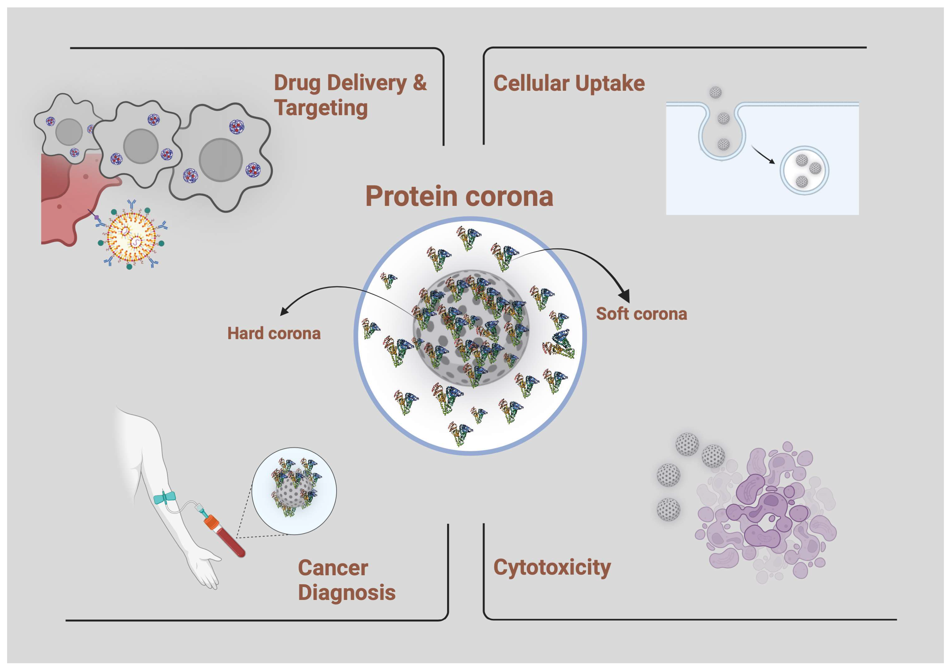 Nanomaterials 14 00823 g007