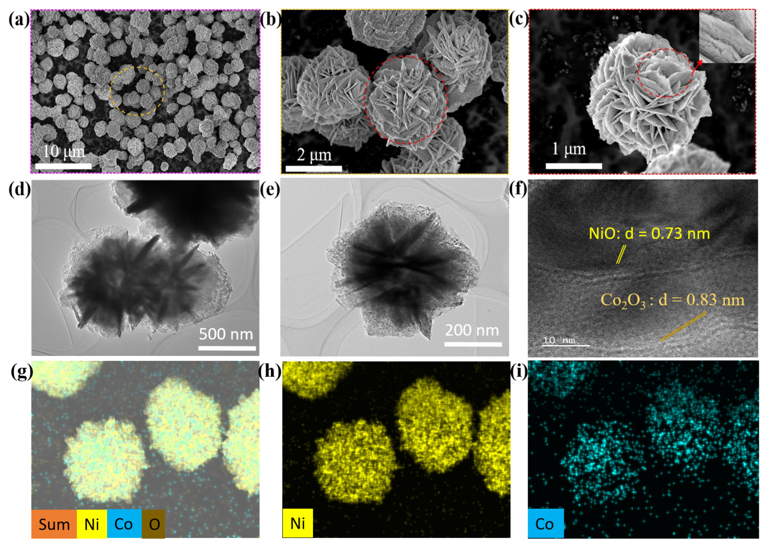 Nanomaterials 14 00825 g001