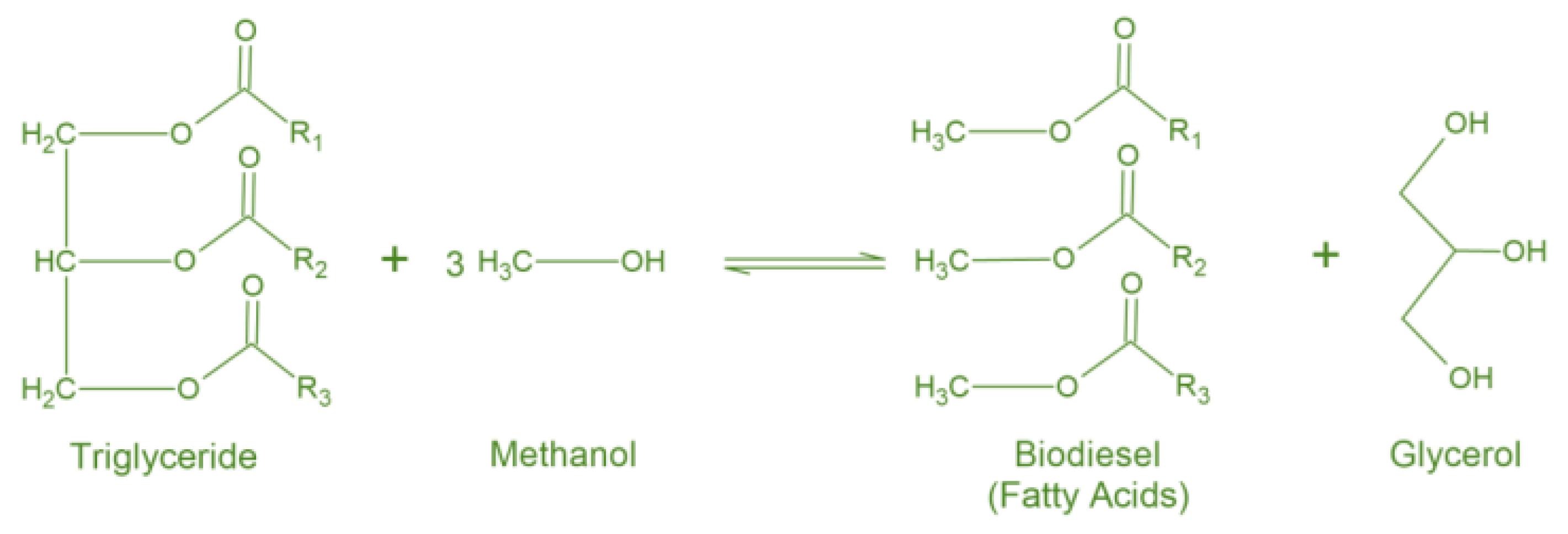 Nanomaterials 14 00828 g001