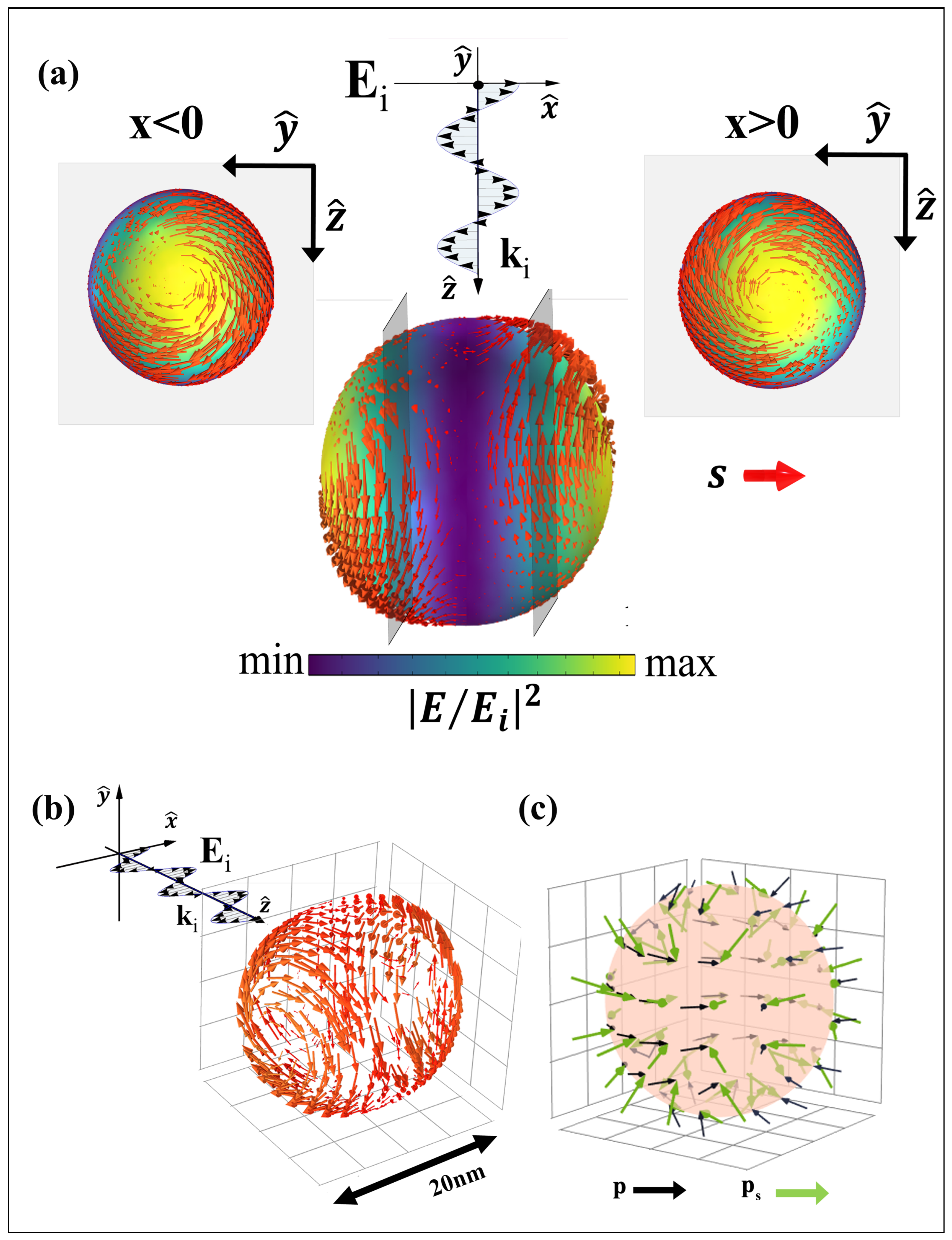 Nanomaterials 14 00829 g001