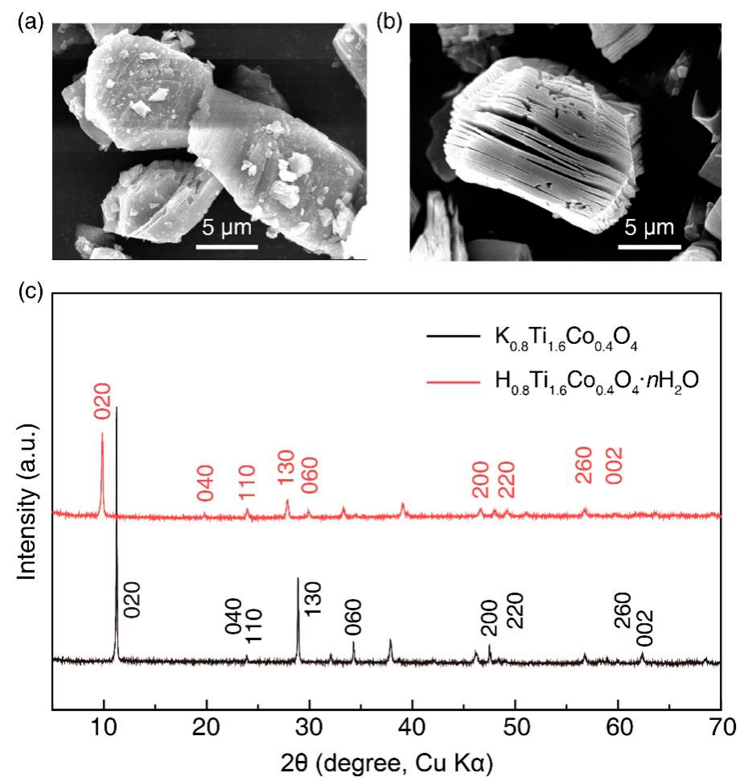 Nanomaterials 14 00834 g001