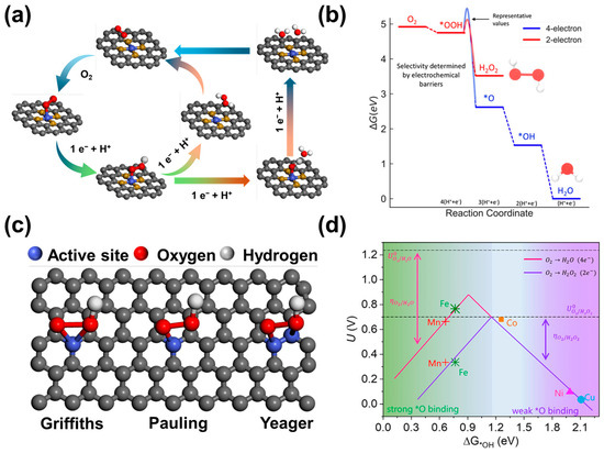 Nanomaterials 14 00835 g001