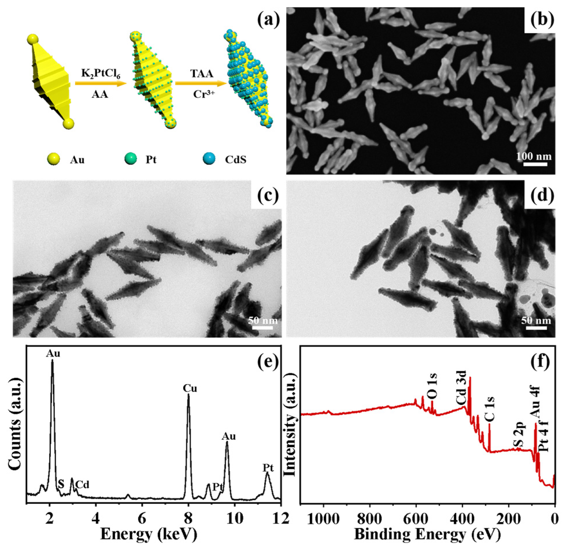 Nanomaterials 14 00838 g003