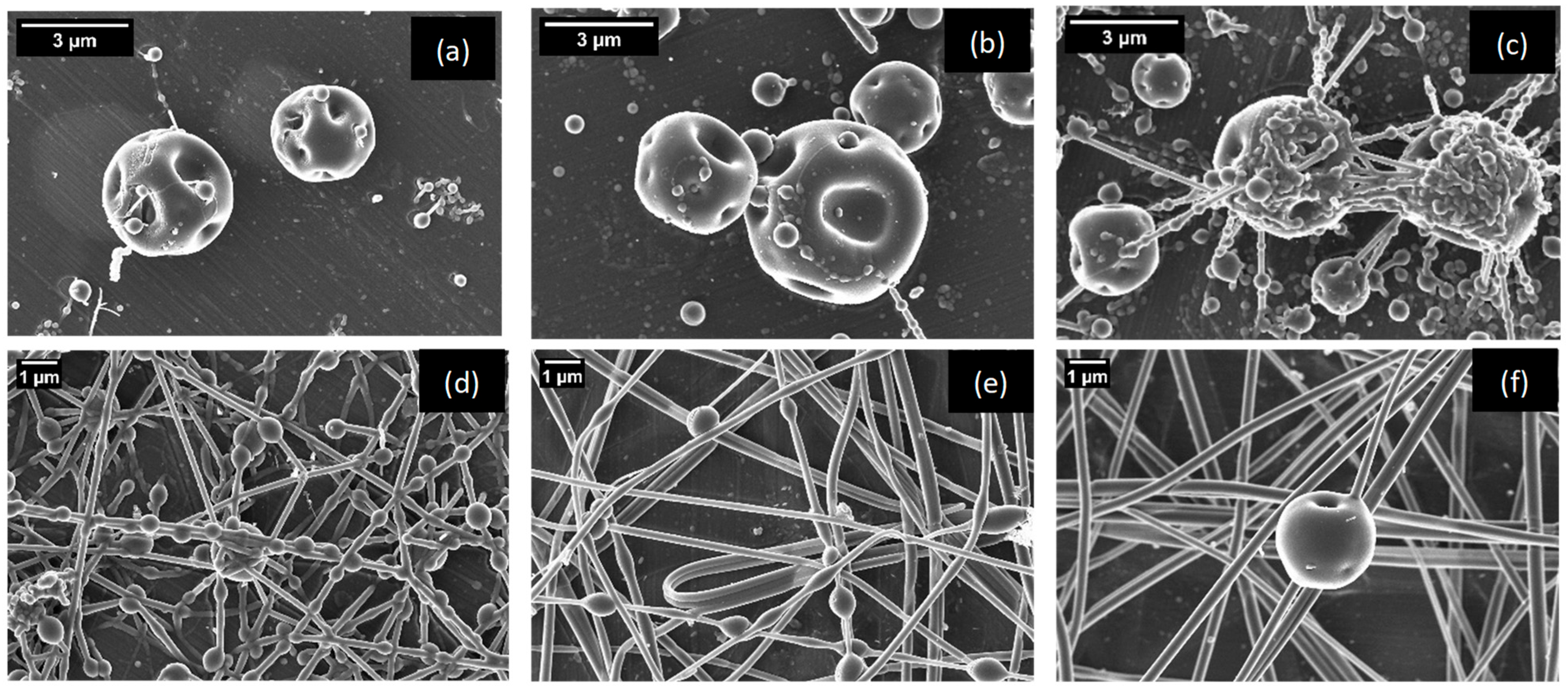 Nanomaterials 14 00840 g001