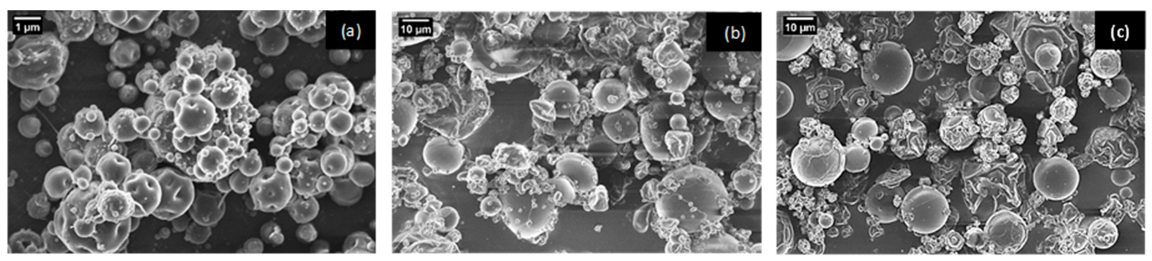 Nanomaterials 14 00840 g002