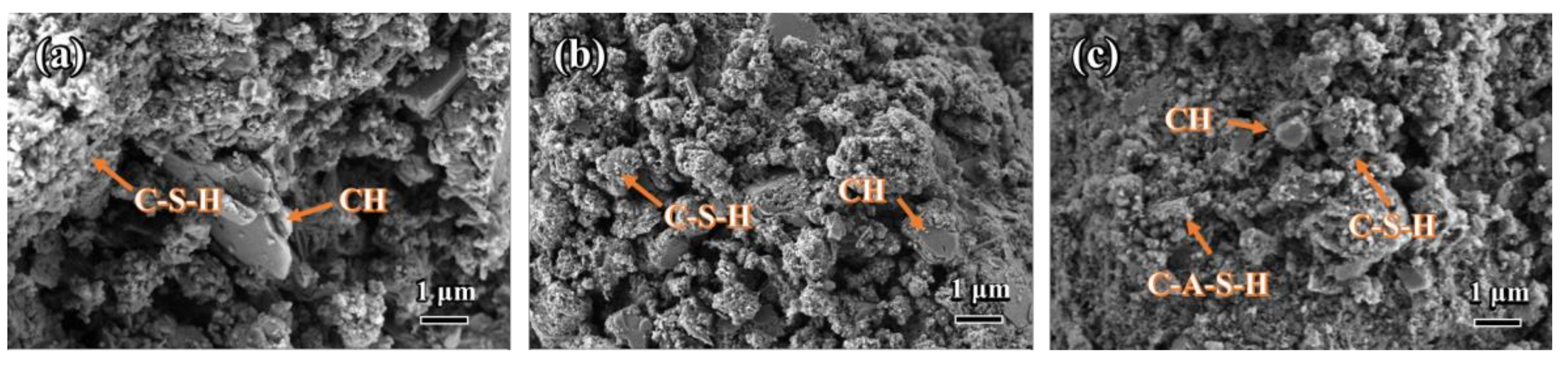 Nanomaterials 14 00850 g010