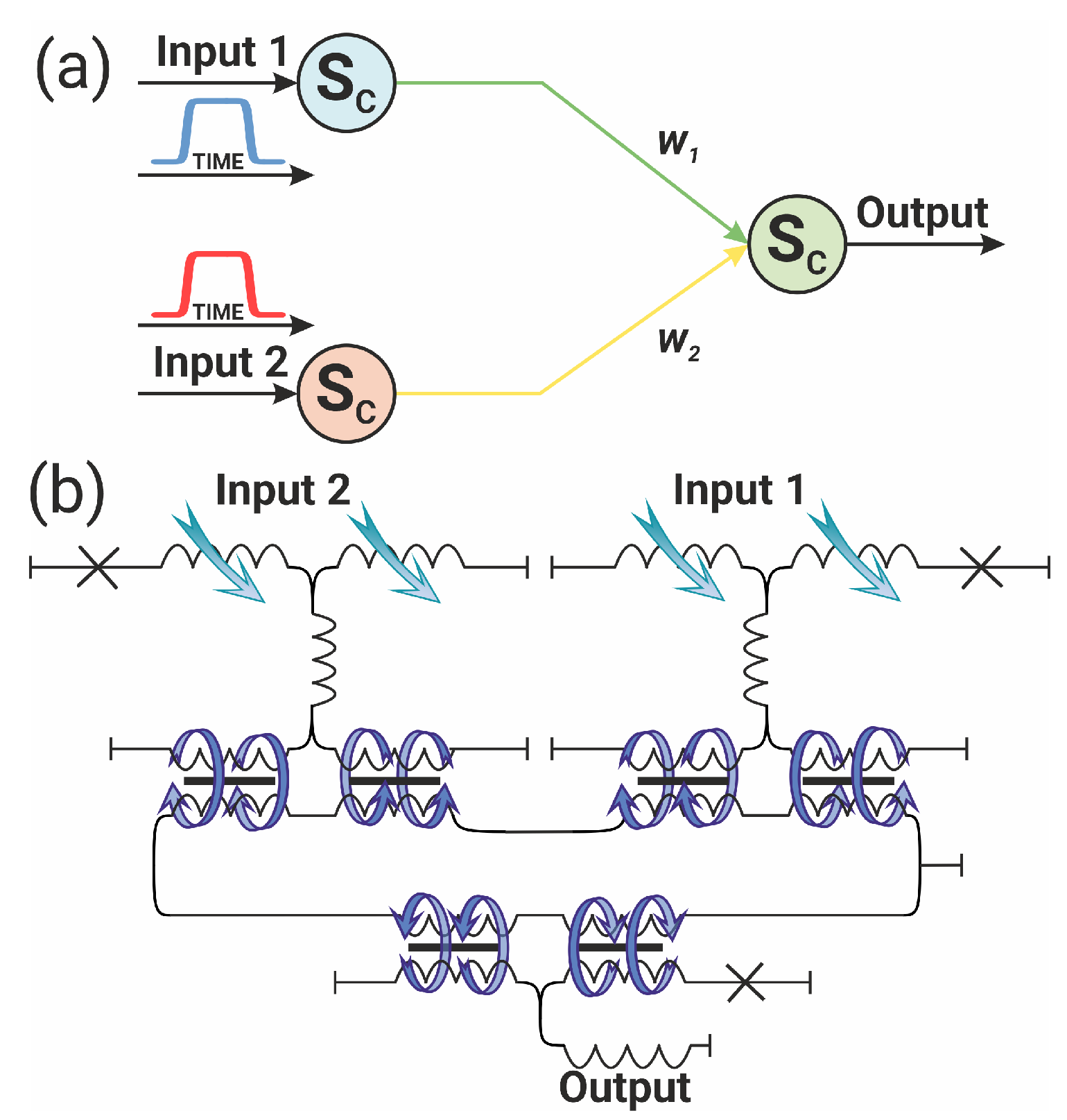 Nanomaterials 14 00854 g010