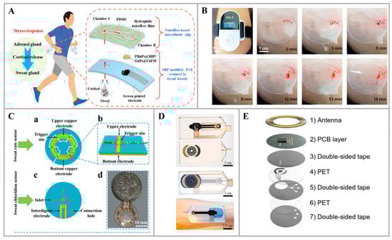 Nanomaterials 14 00857 g004