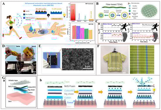 Nanomaterials 14 00857 g007