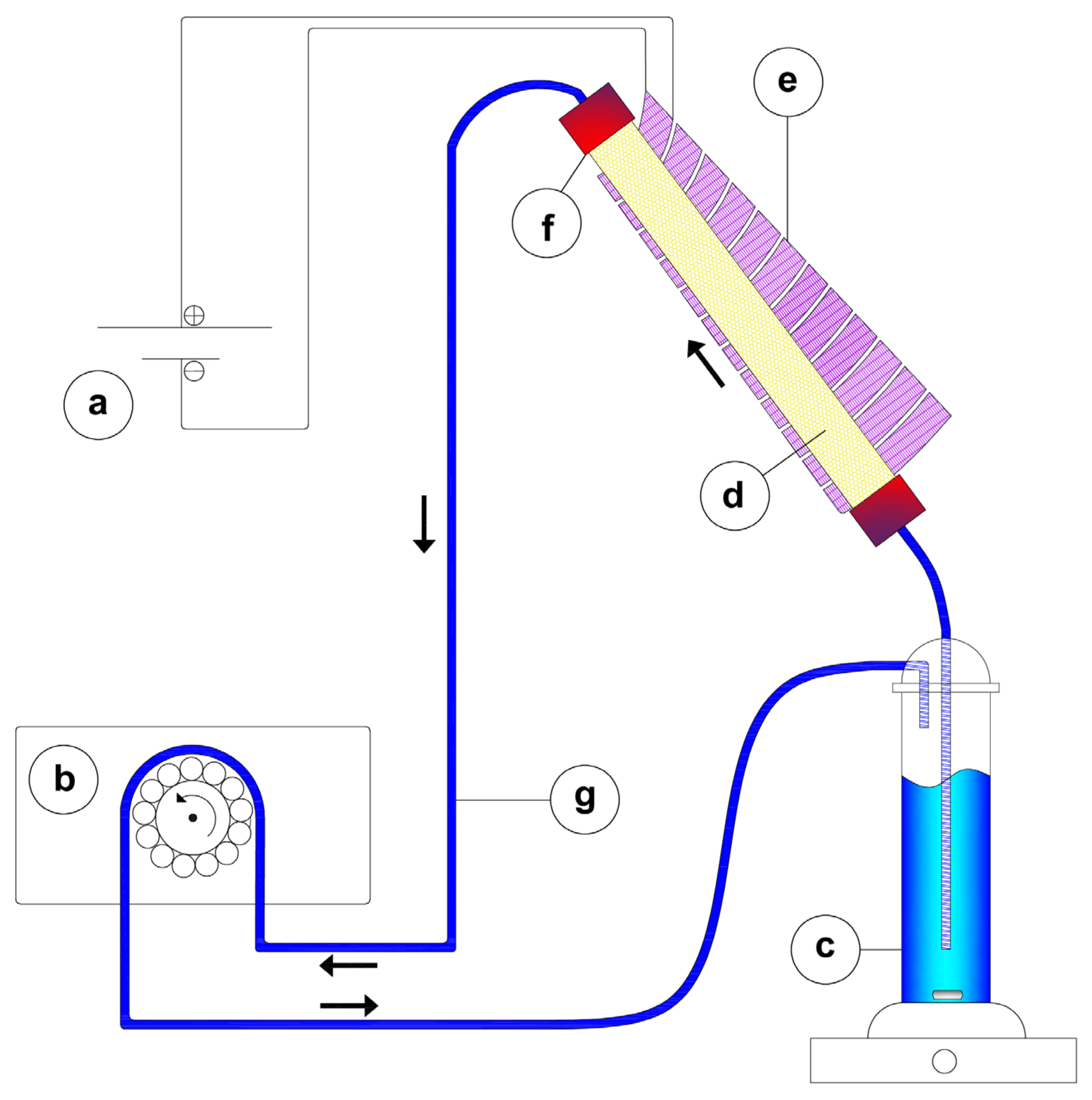 Nanomaterials 14 00860 g002