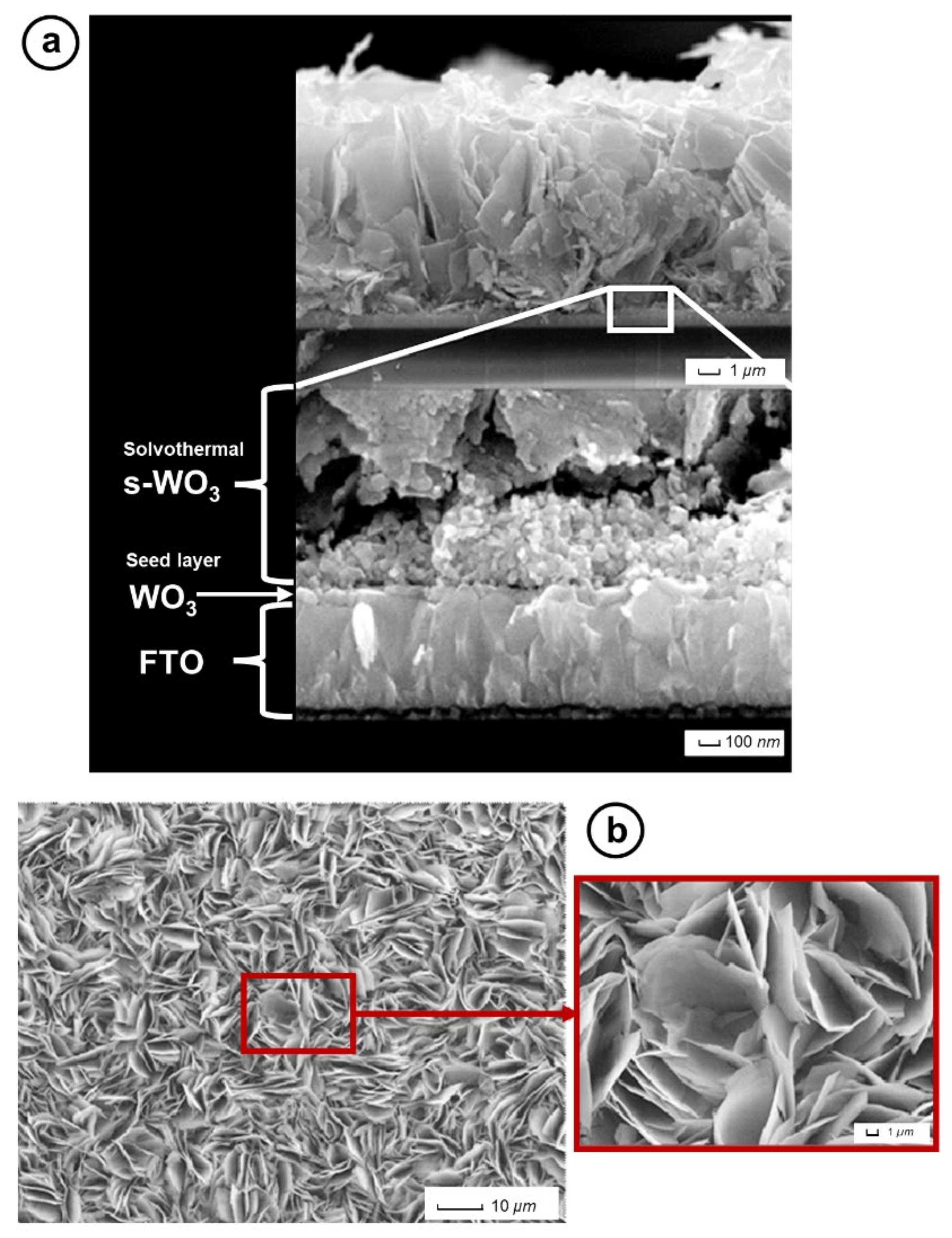 Nanomaterials 14 00860 g004