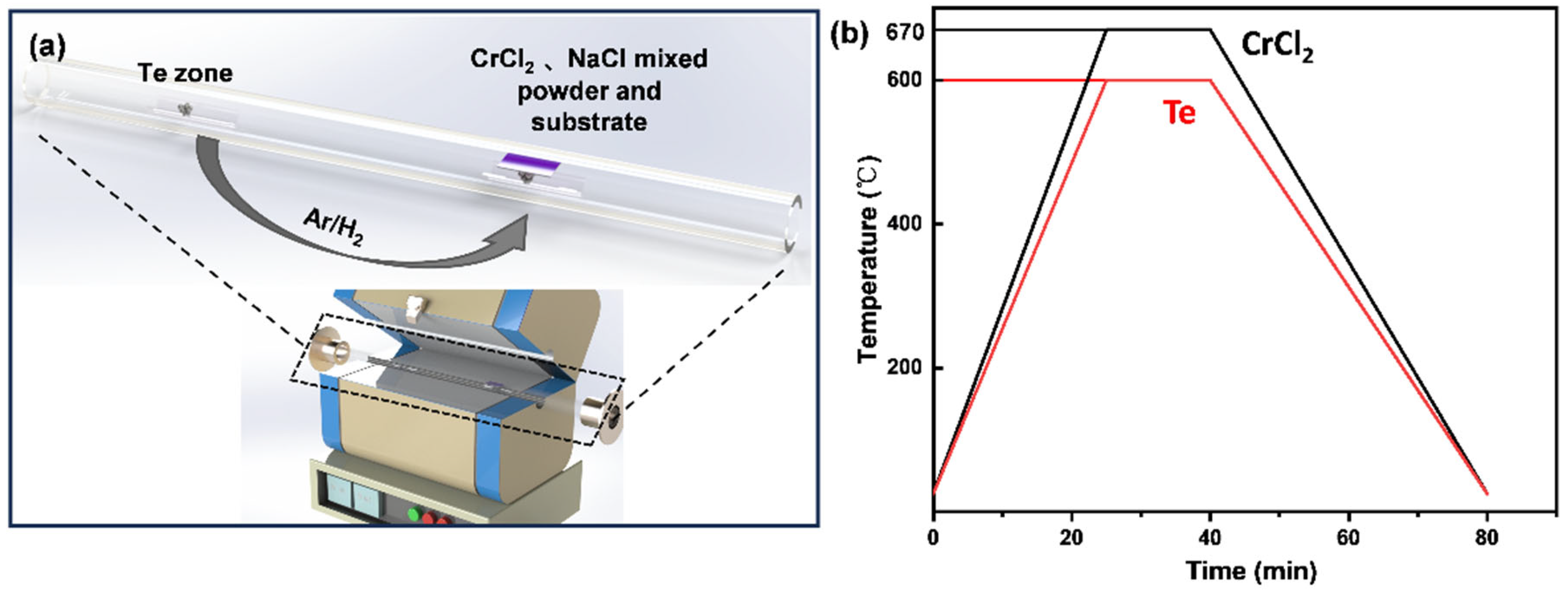 Nanomaterials 14 00868 g001
