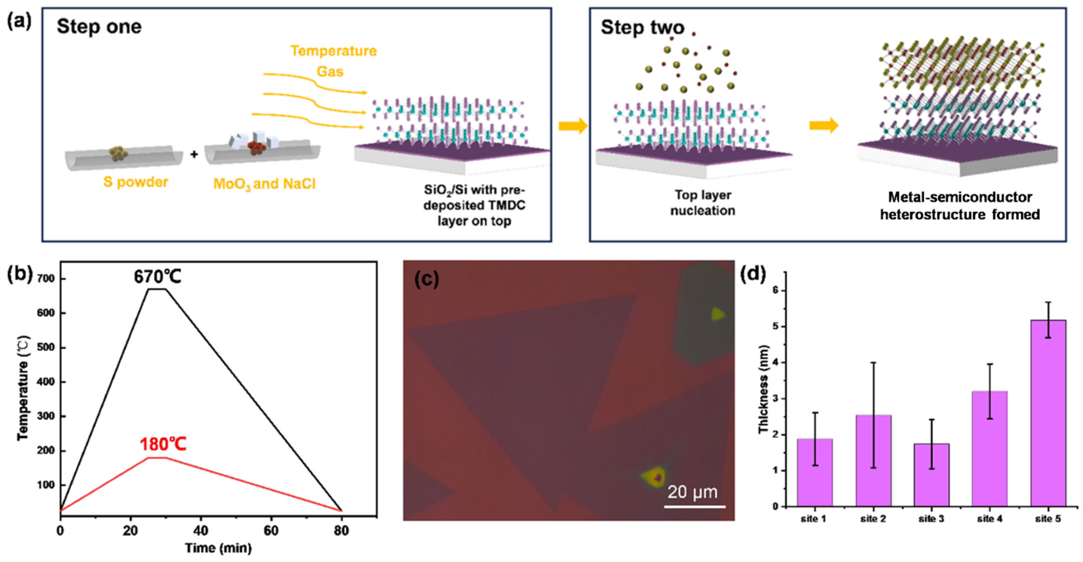 Nanomaterials 14 00868 g002