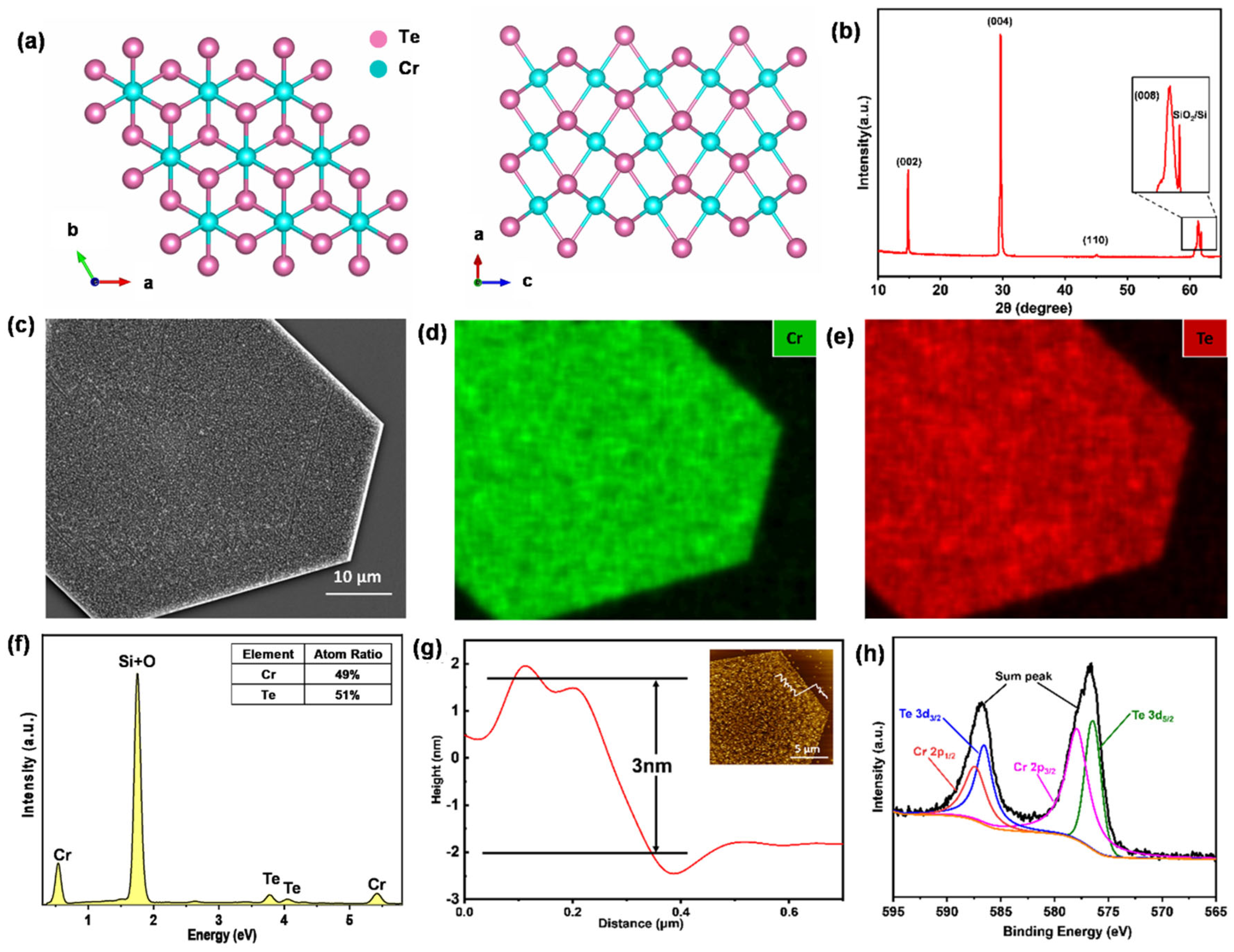 Nanomaterials 14 00868 g006
