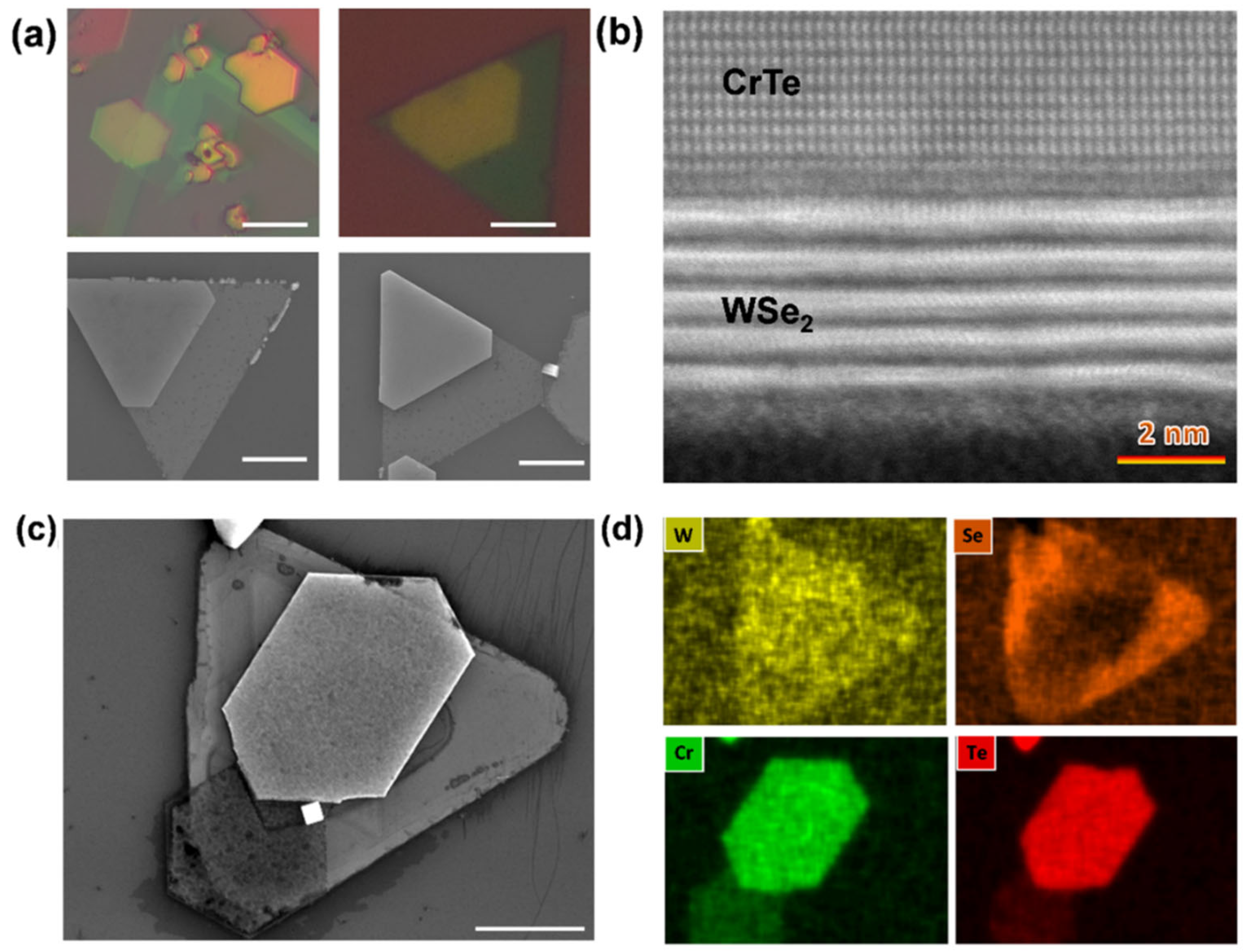 Nanomaterials 14 00868 g007