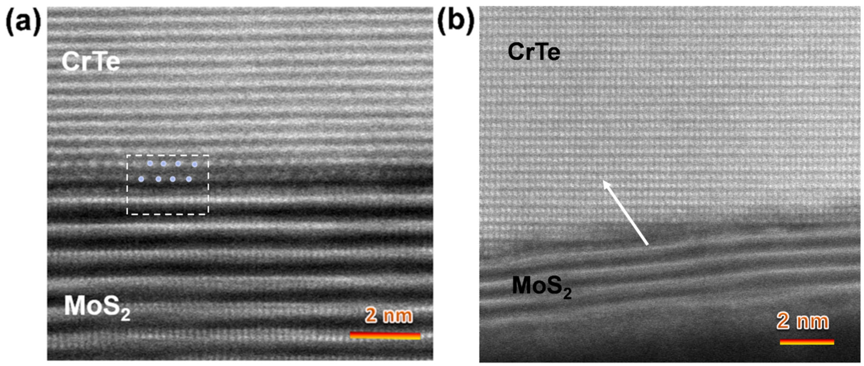 Nanomaterials 14 00868 g010