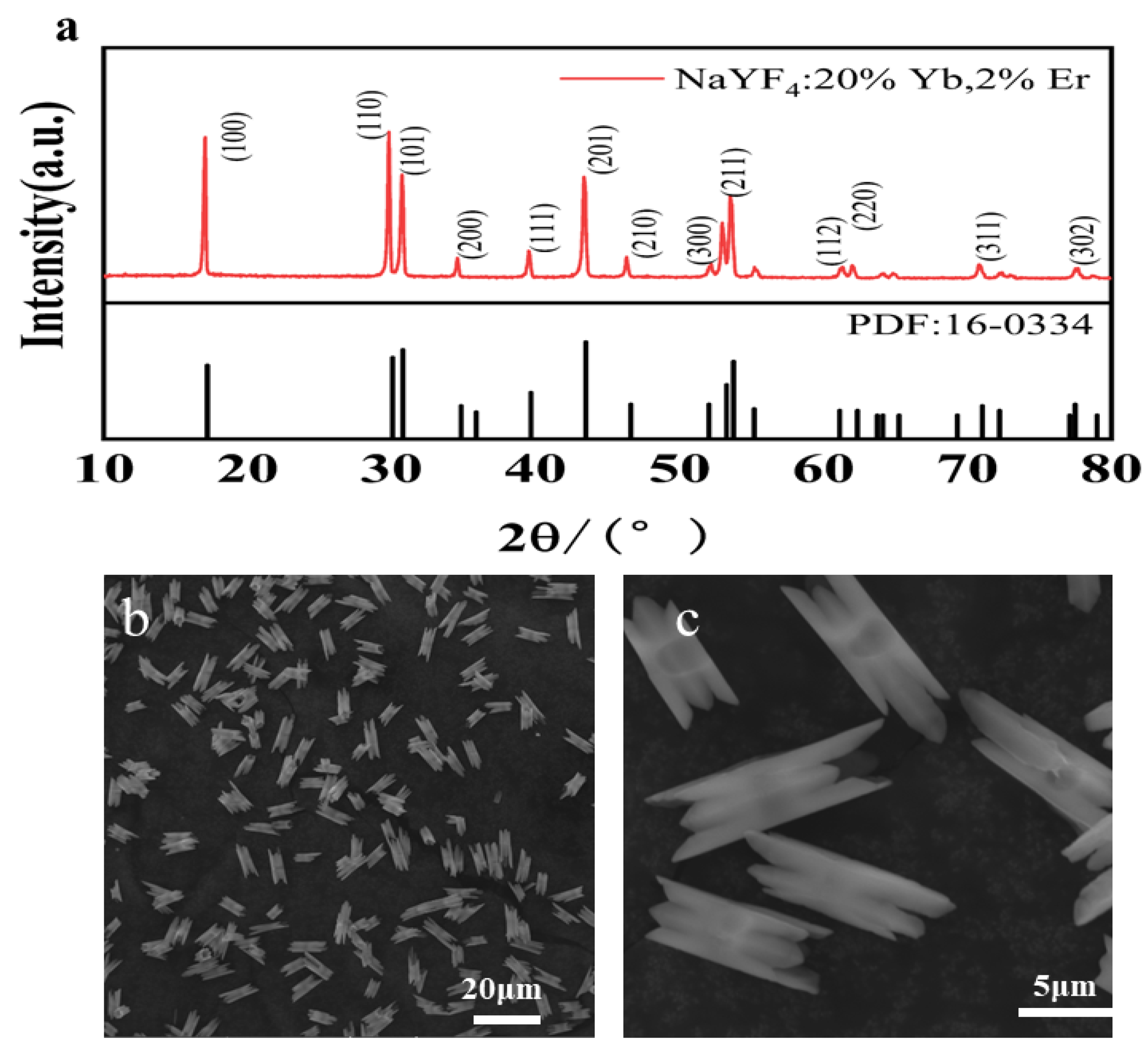 Nanomaterials 14 00871 g001