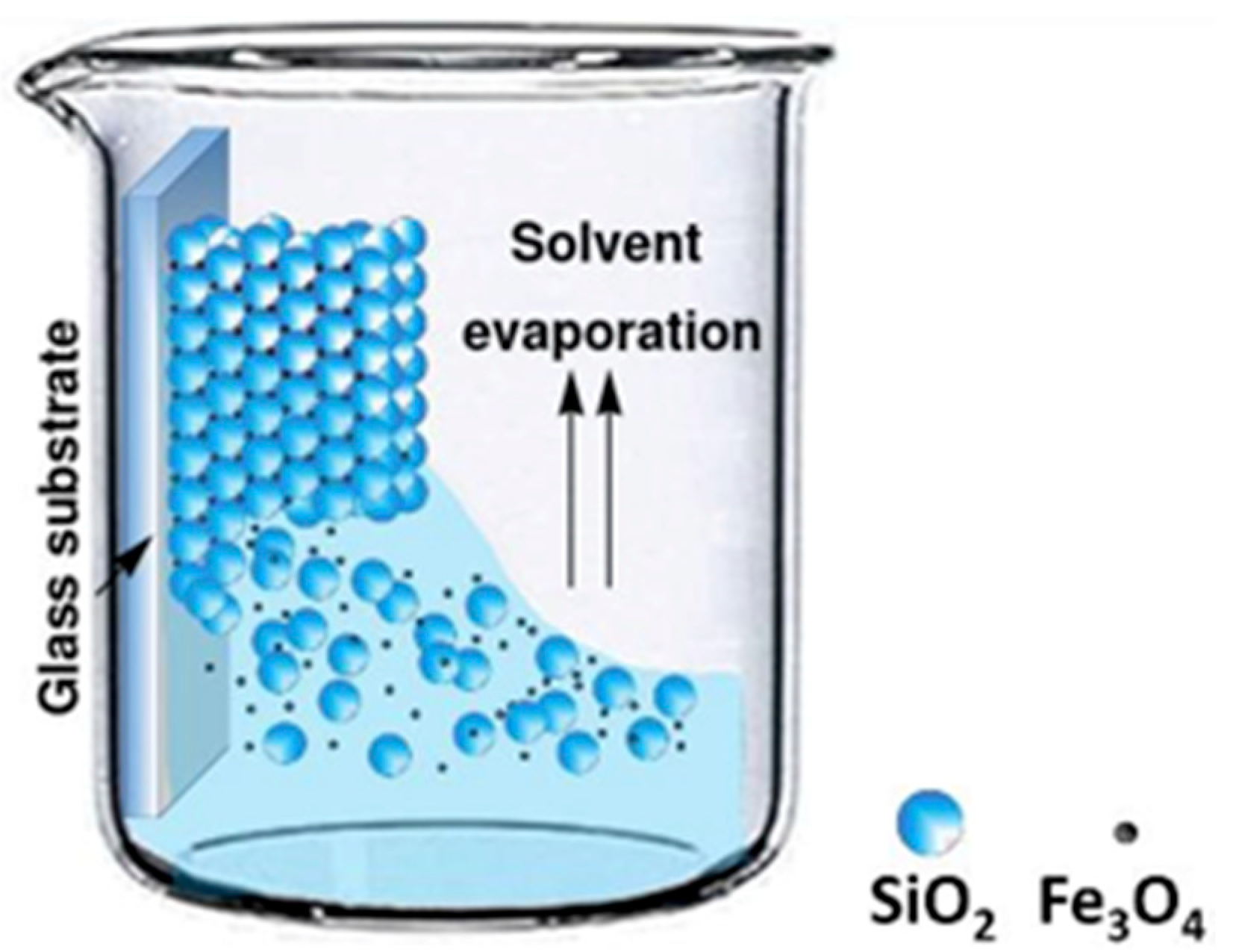 Nanomaterials 14 00874 g001 Nanomaterials 14 00874 g001