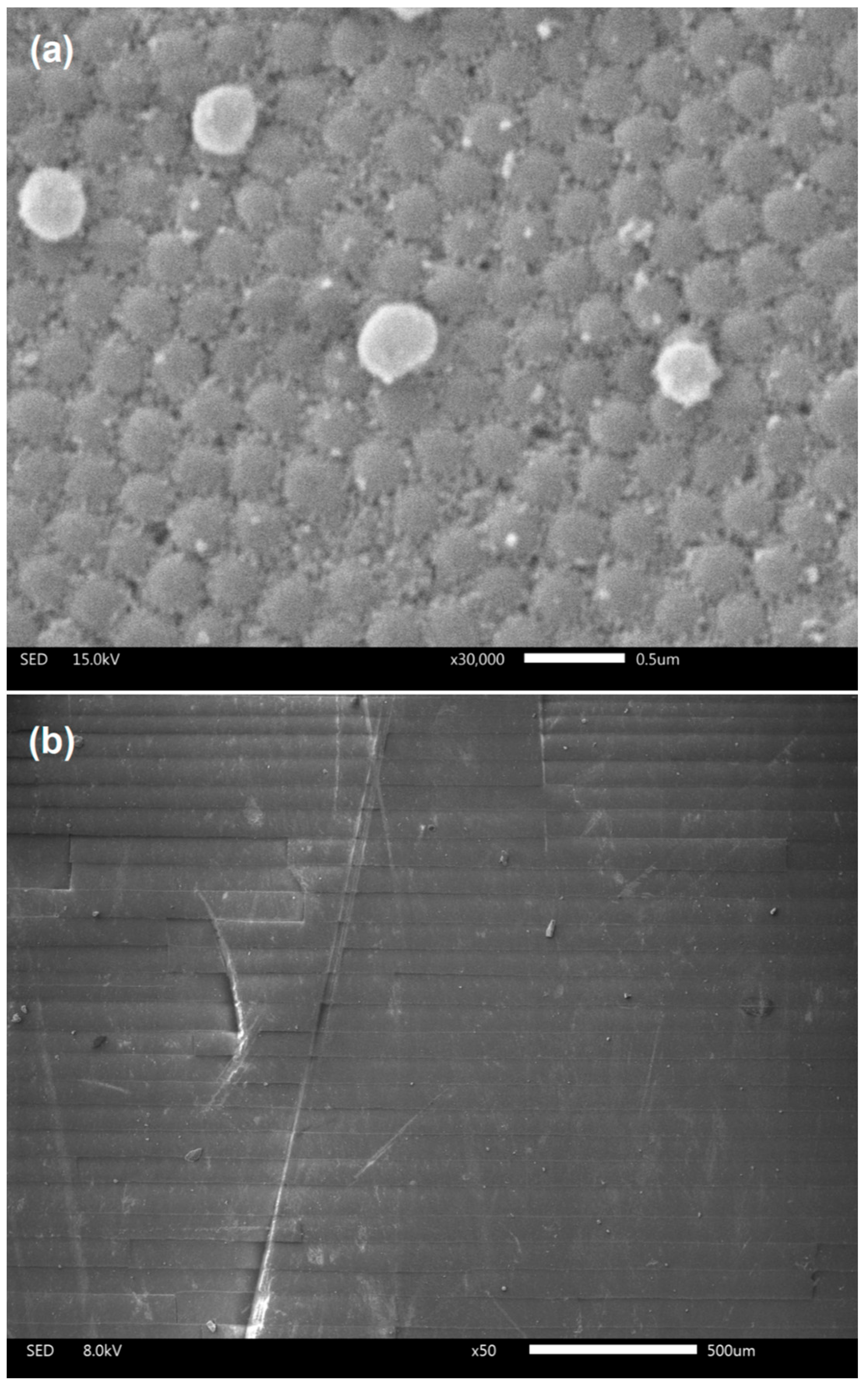 Nanomaterials 14 00874 g002 Nanomaterials 14 00874 g002