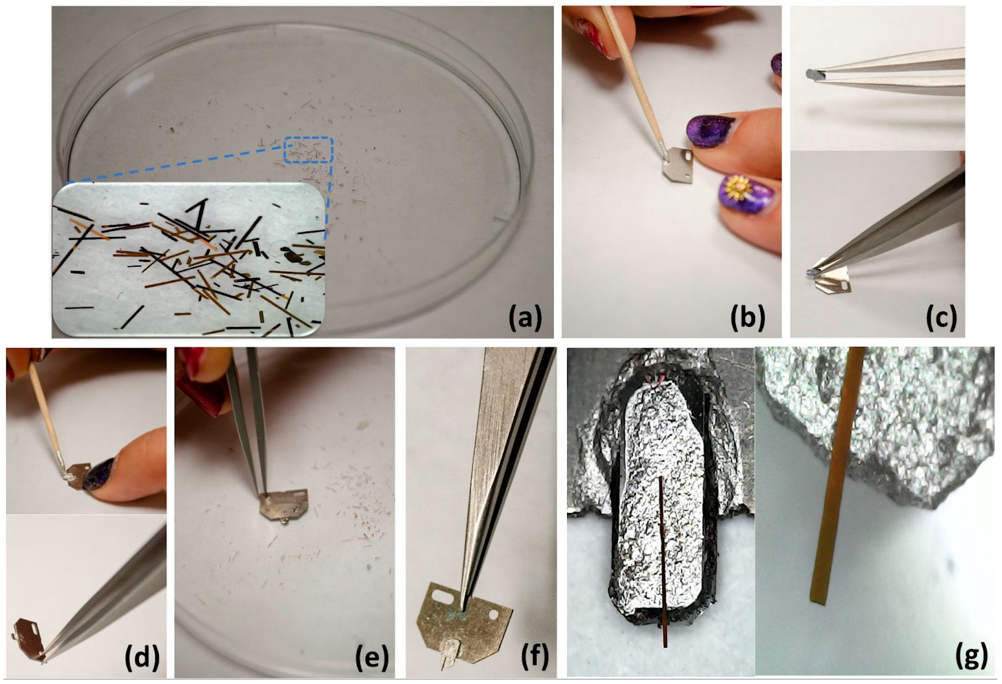 Nanomaterials 14 00874 g003 Nanomaterials 14 00874 g003