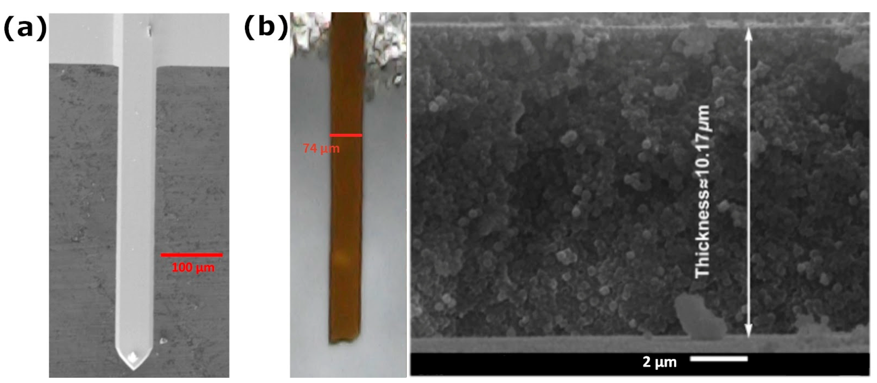 Nanomaterials 14 00874 g004 Nanomaterials 14 00874 g004