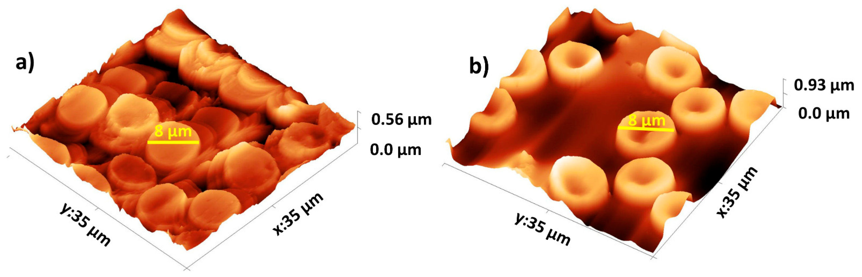 Nanomaterials 14 00874 g007 Nanomaterials 14 00874 g007