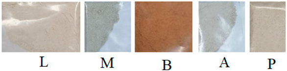 Nanomaterials 14 00890 i001