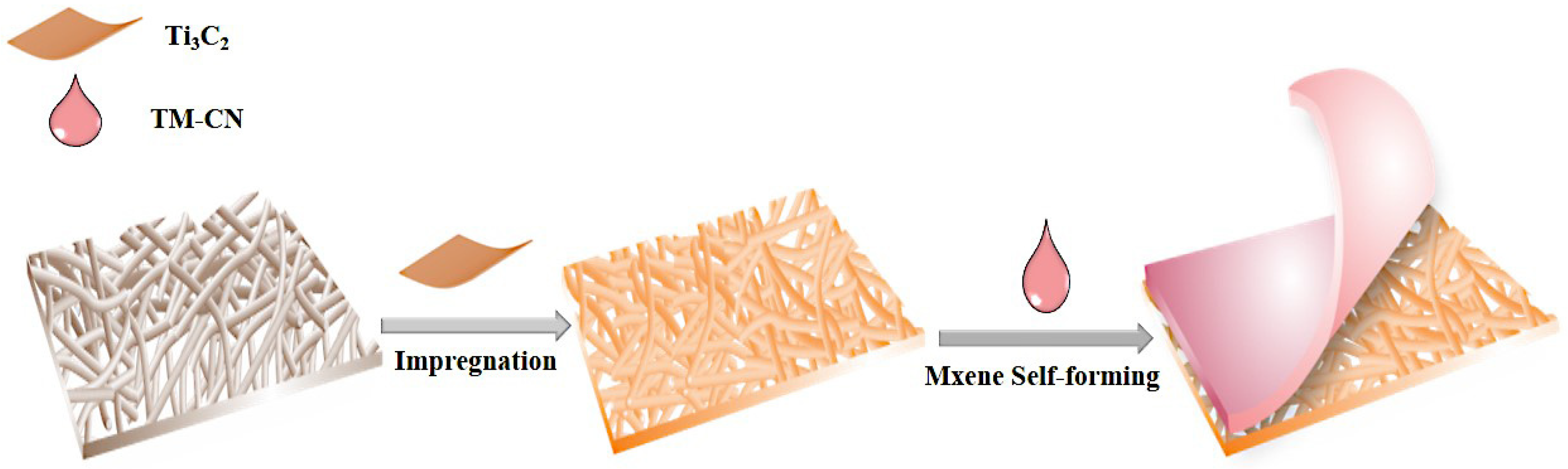 Nanomaterials 14 00896 g002