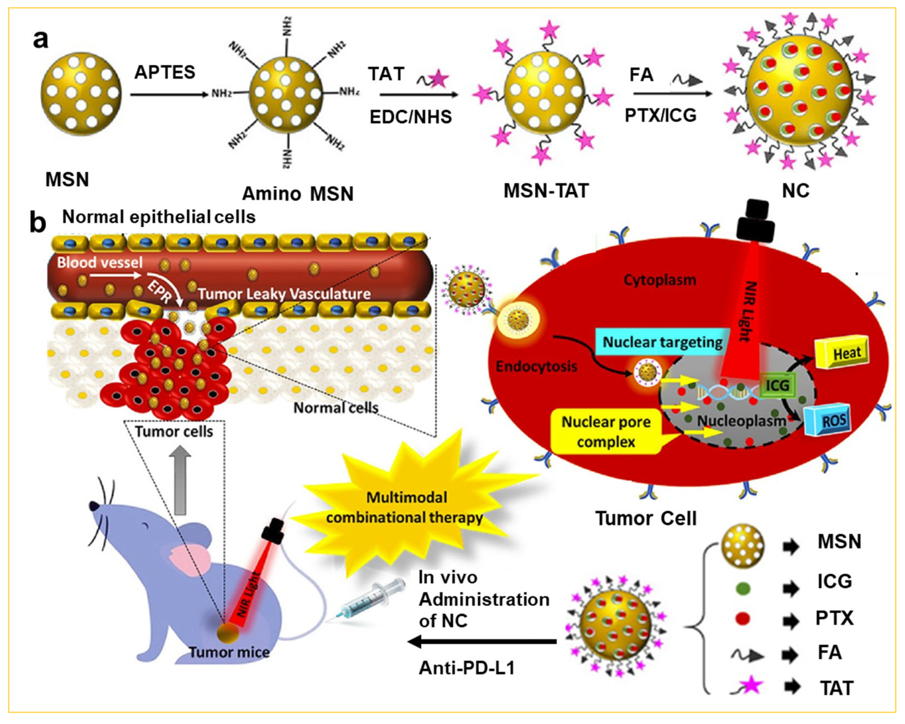 Nanomaterials 14 00903 g008