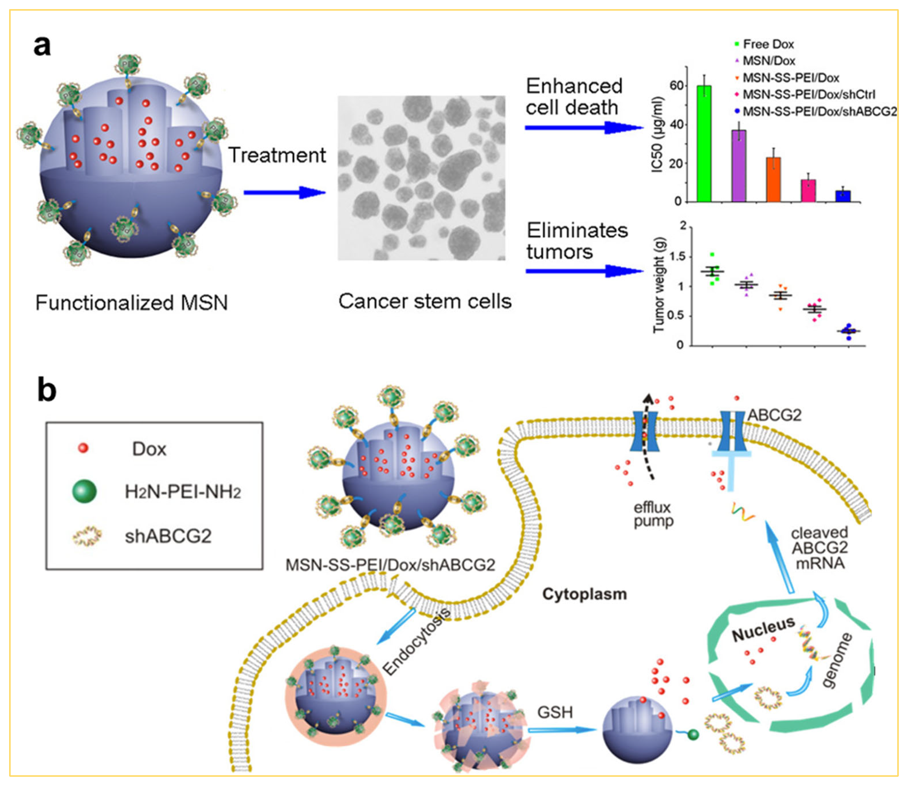 Nanomaterials 14 00903 g009