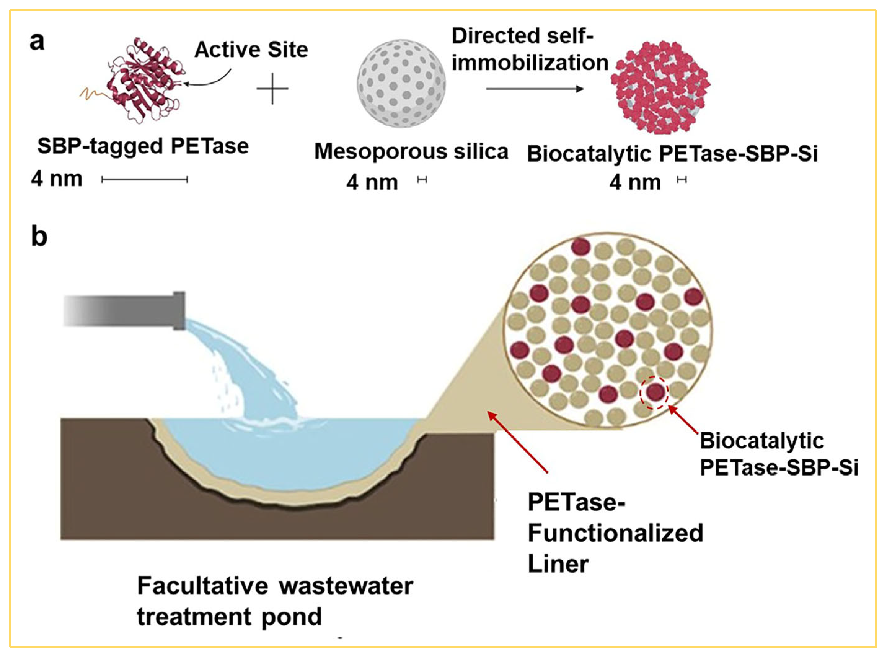 Nanomaterials 14 00903 g010
