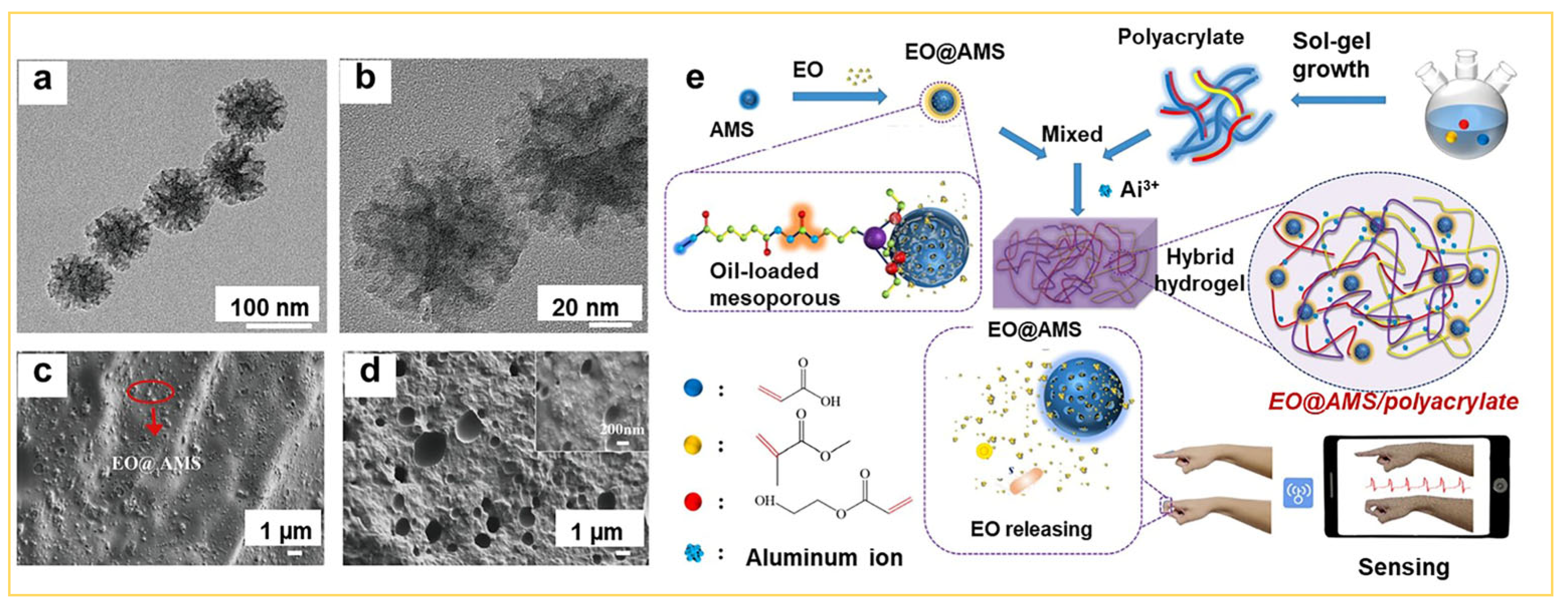 Nanomaterials 14 00903 g011