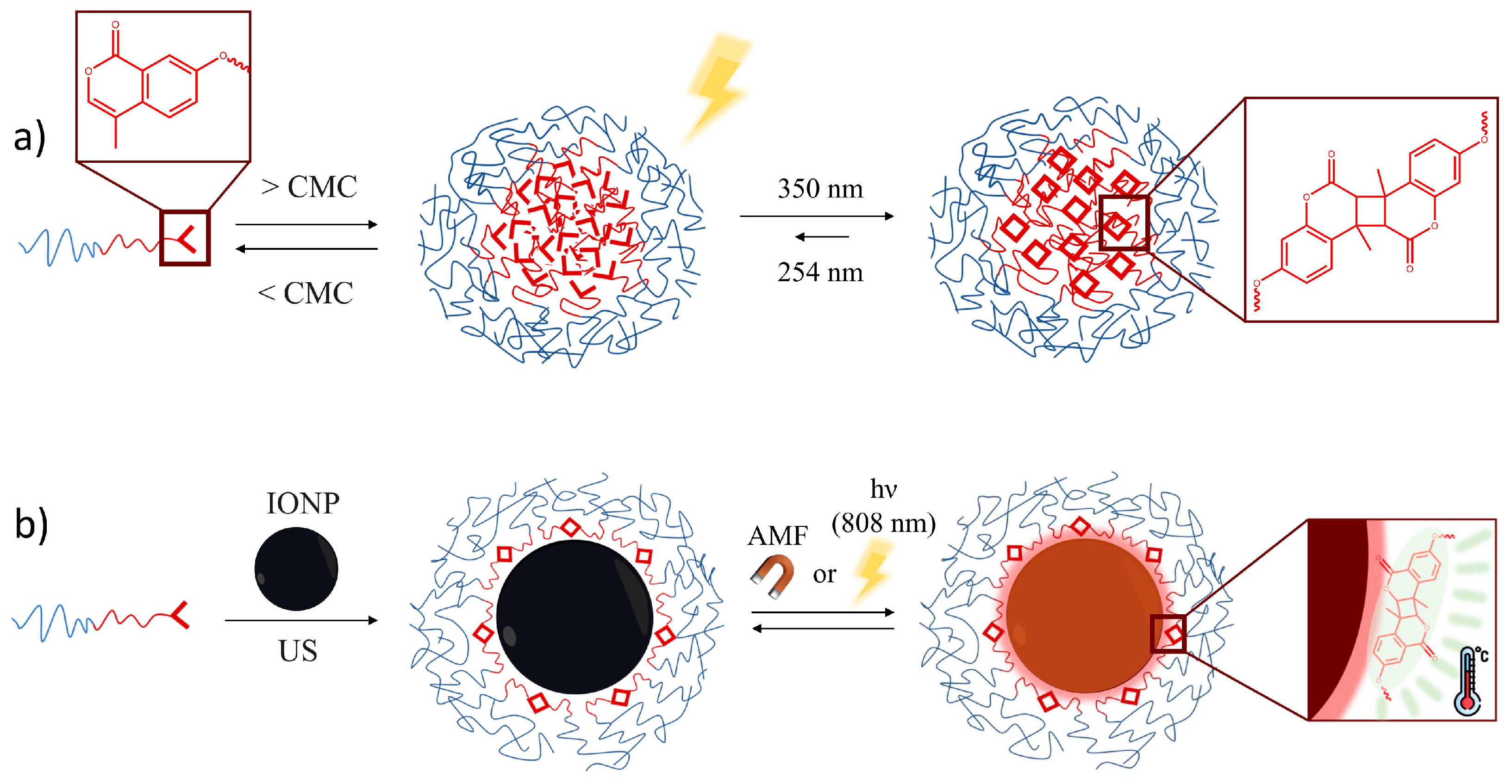 Nanomaterials 14 00906 sch001
