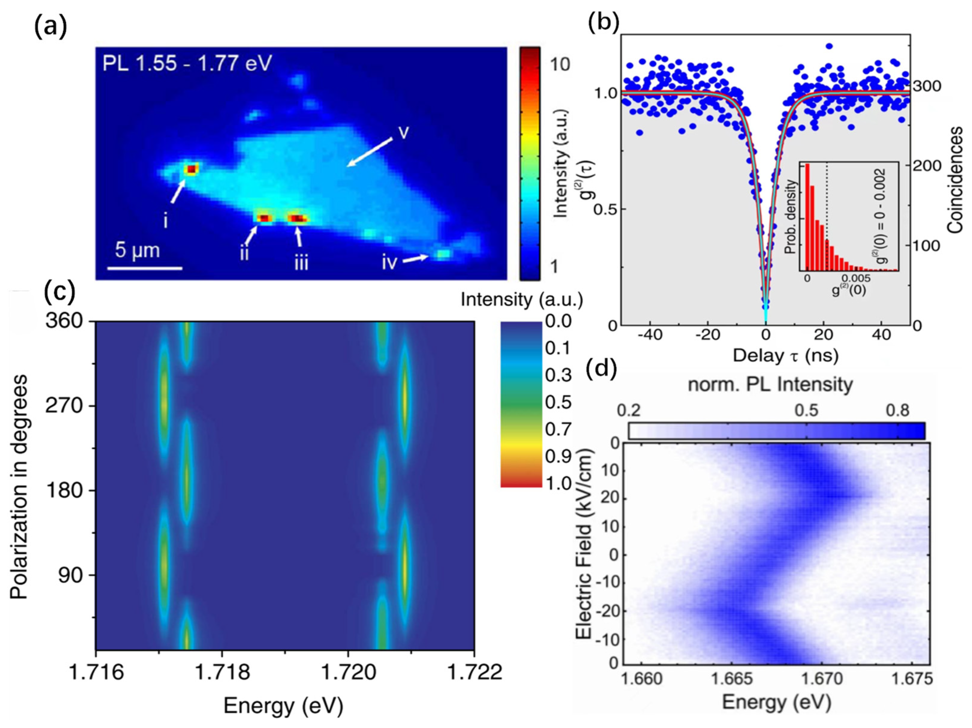 Nanomaterials 14 00918 g001