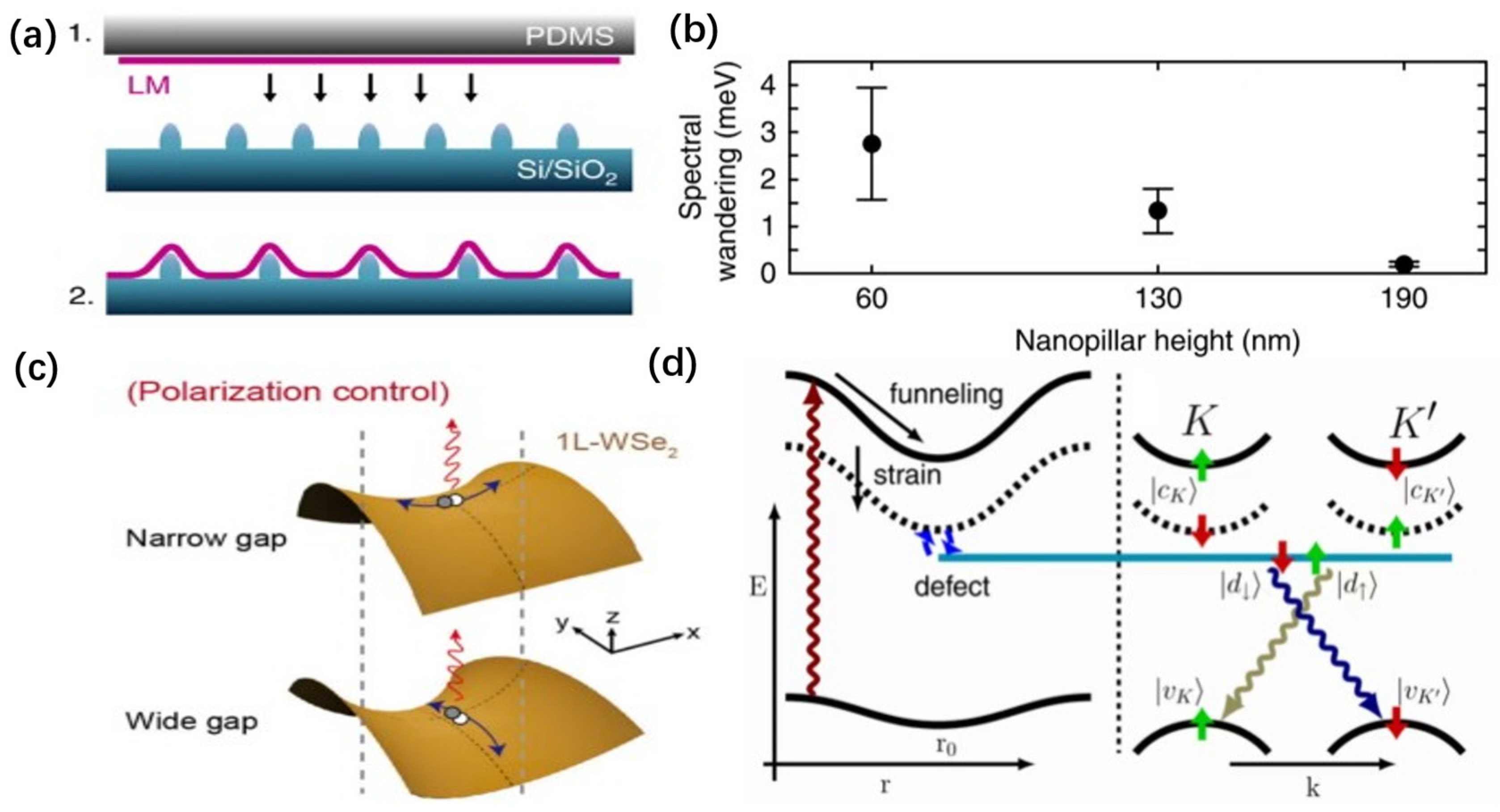 Nanomaterials 14 00918 g005