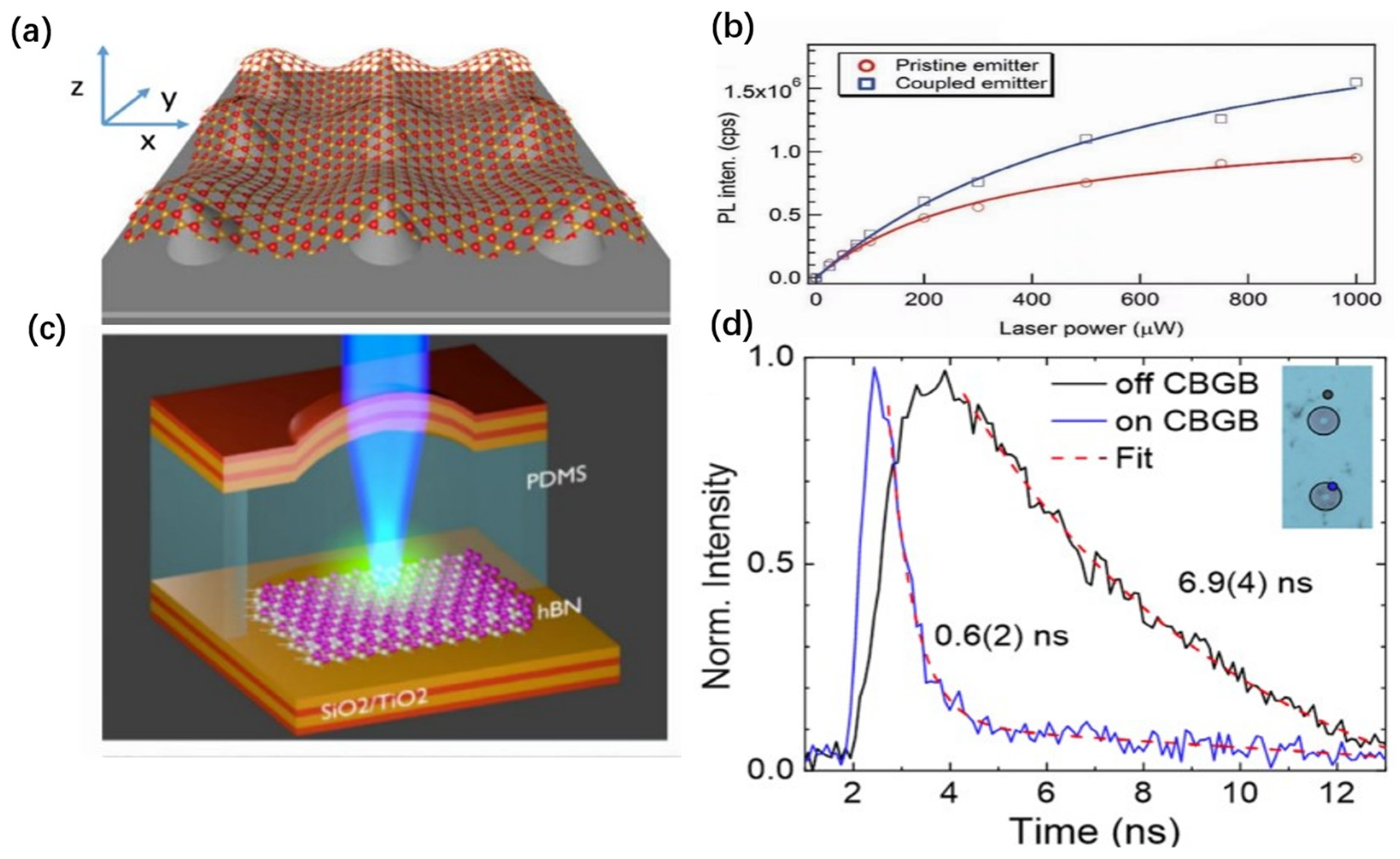 Nanomaterials 14 00918 g006
