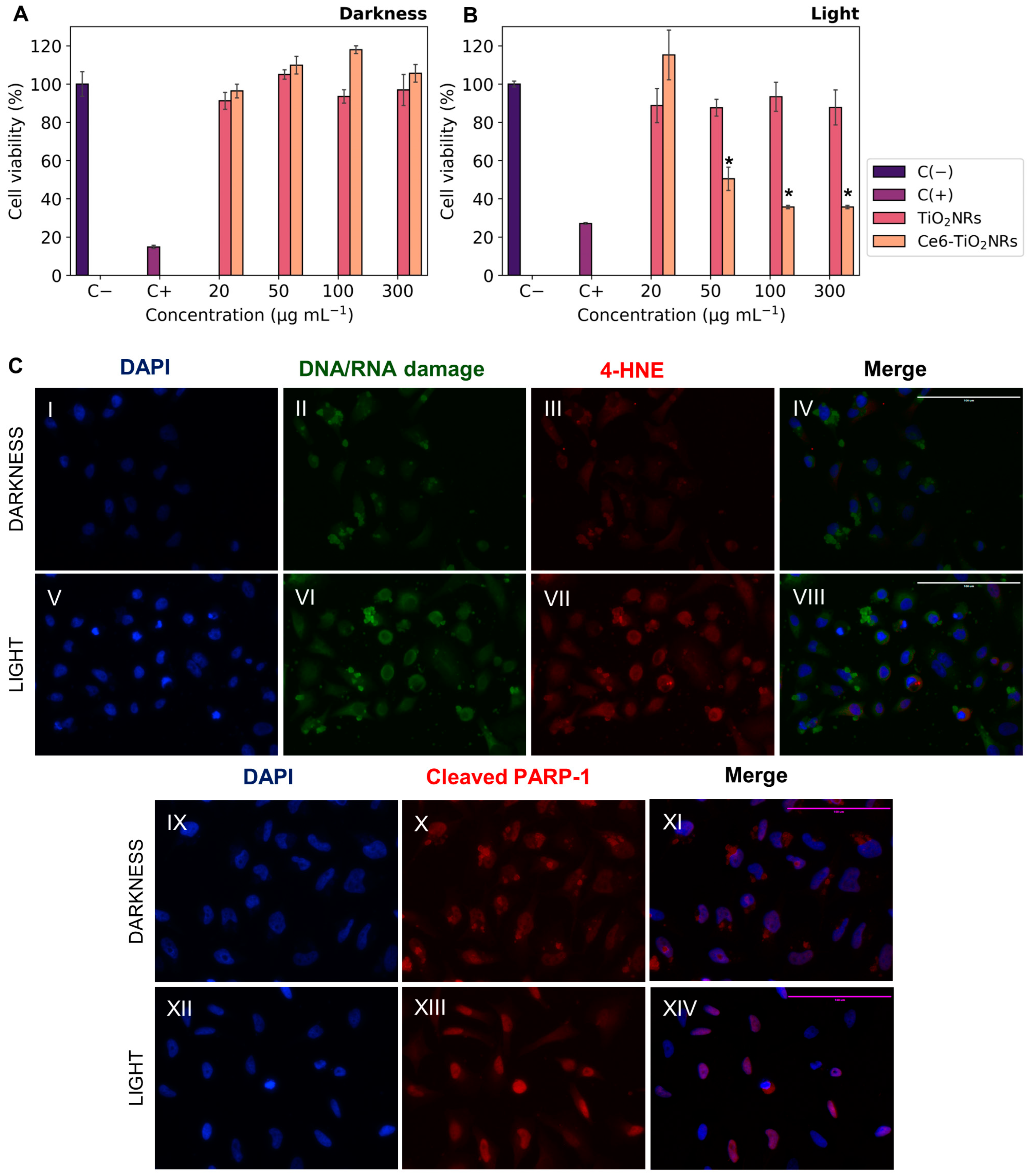 Nanomaterials 14 00933 g005