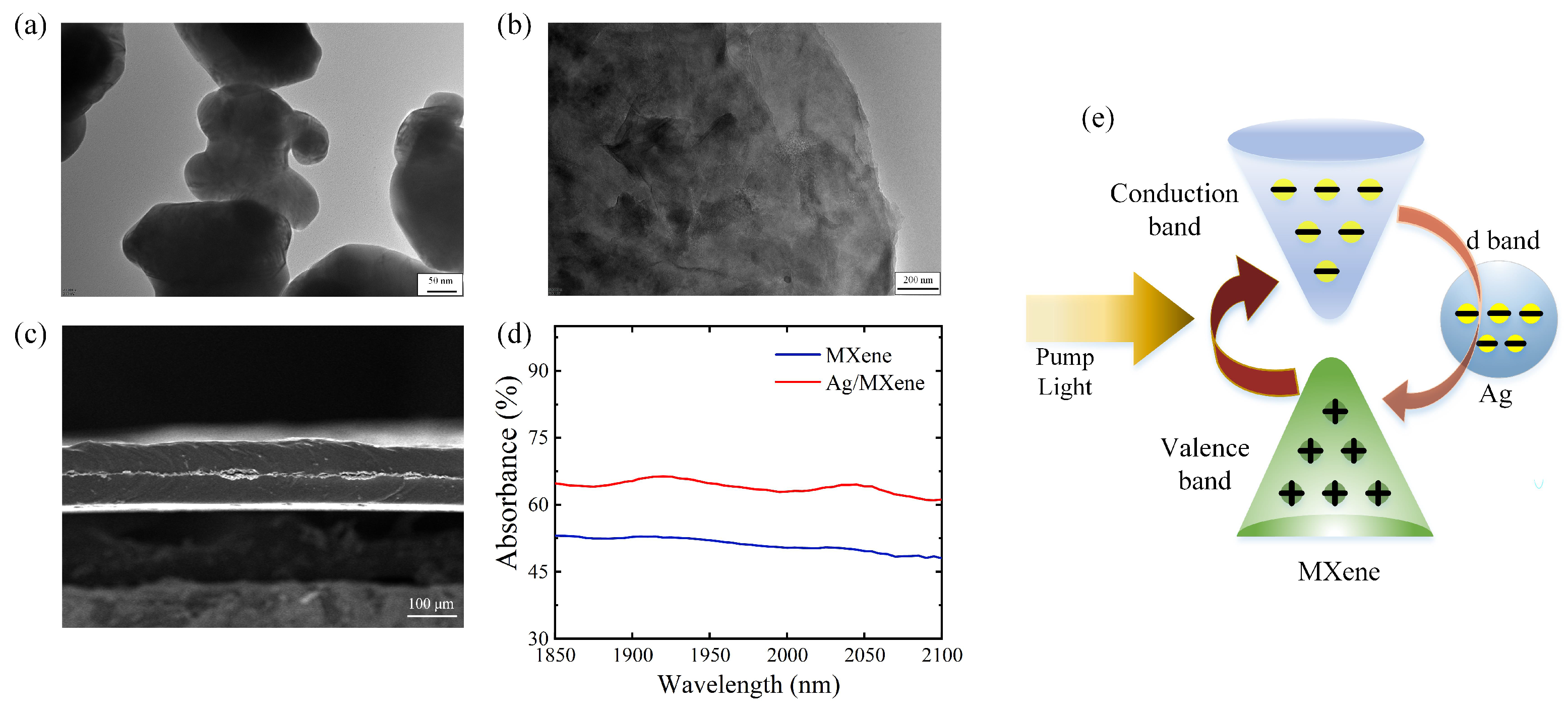 Nanomaterials 14 00951 g001