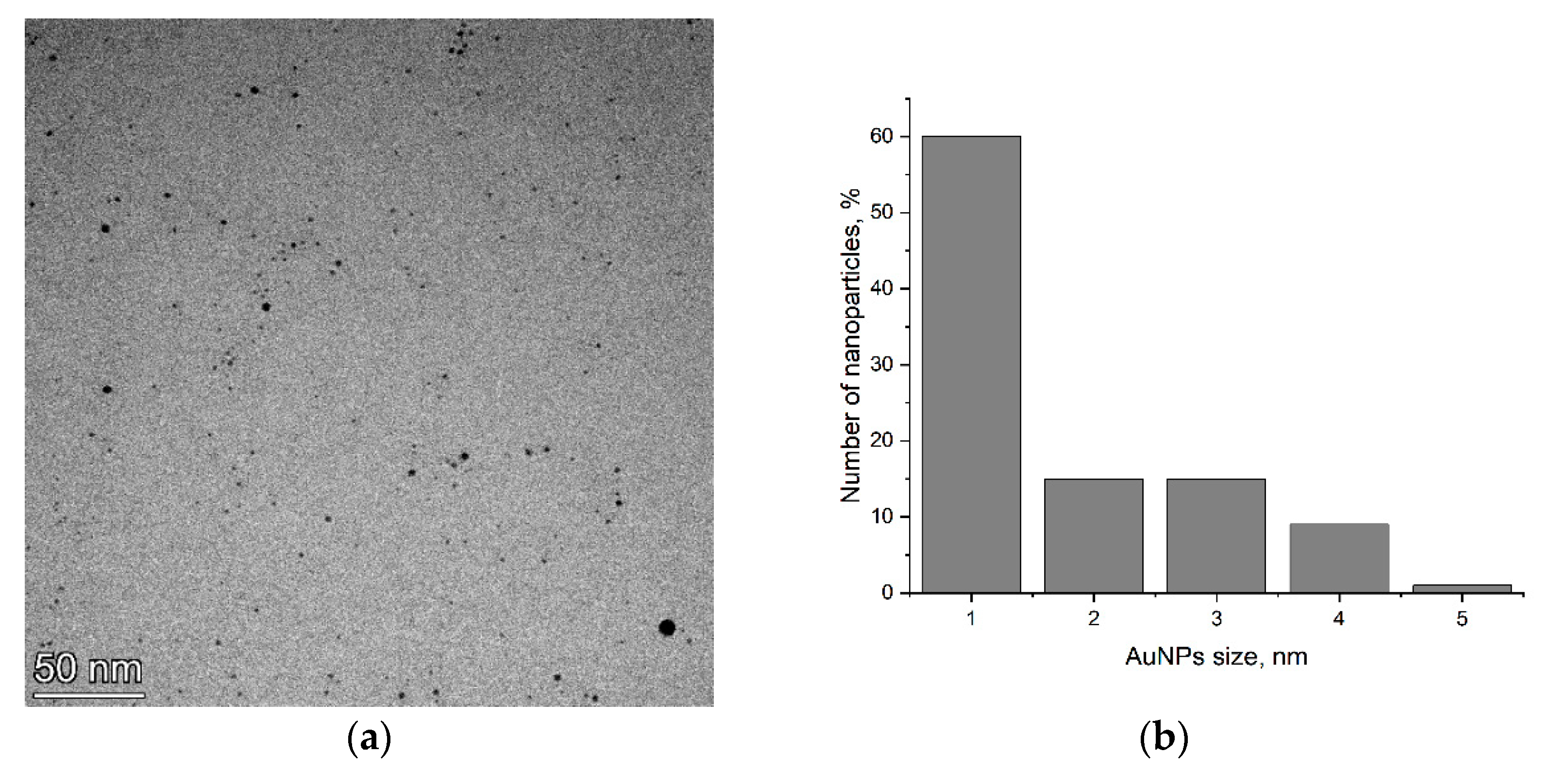Nanomaterials 14 00955 g001