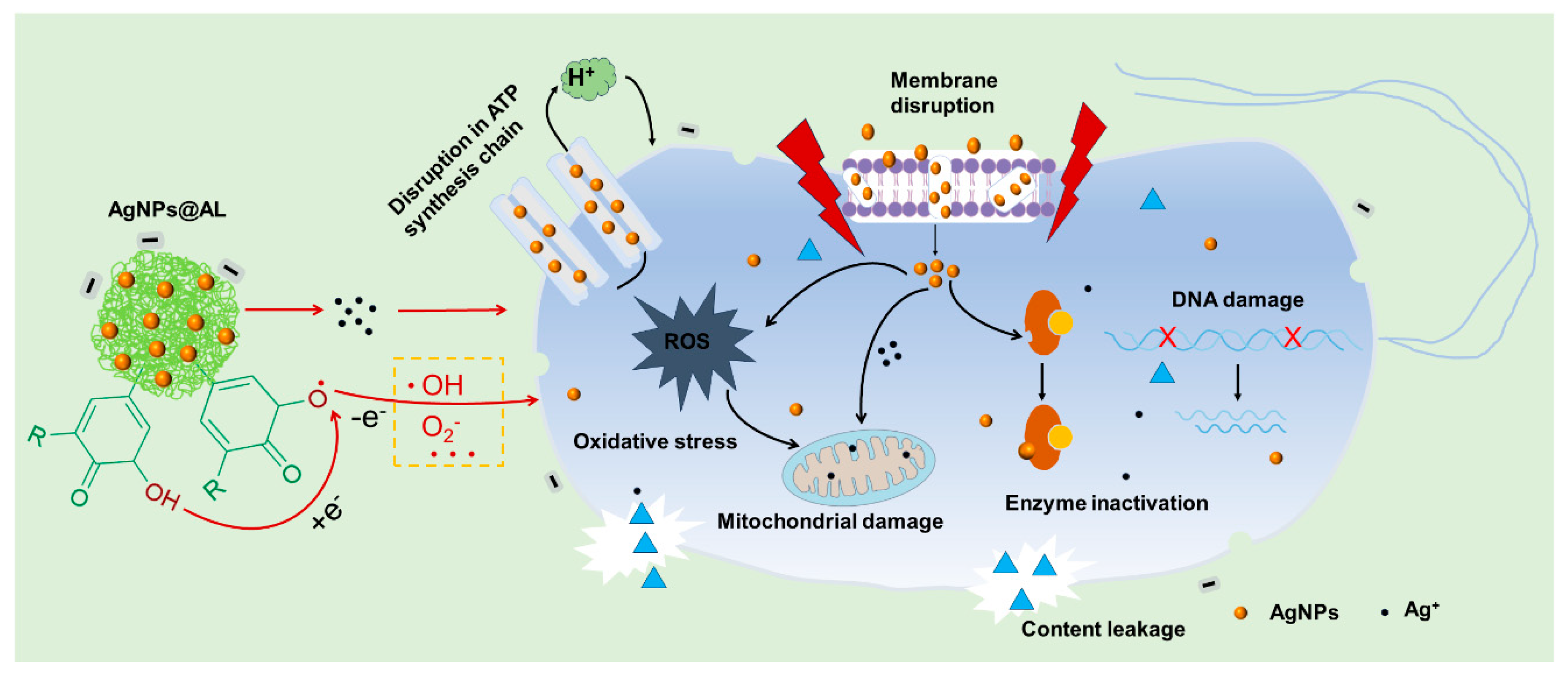 Nanomaterials 14 00957 g008