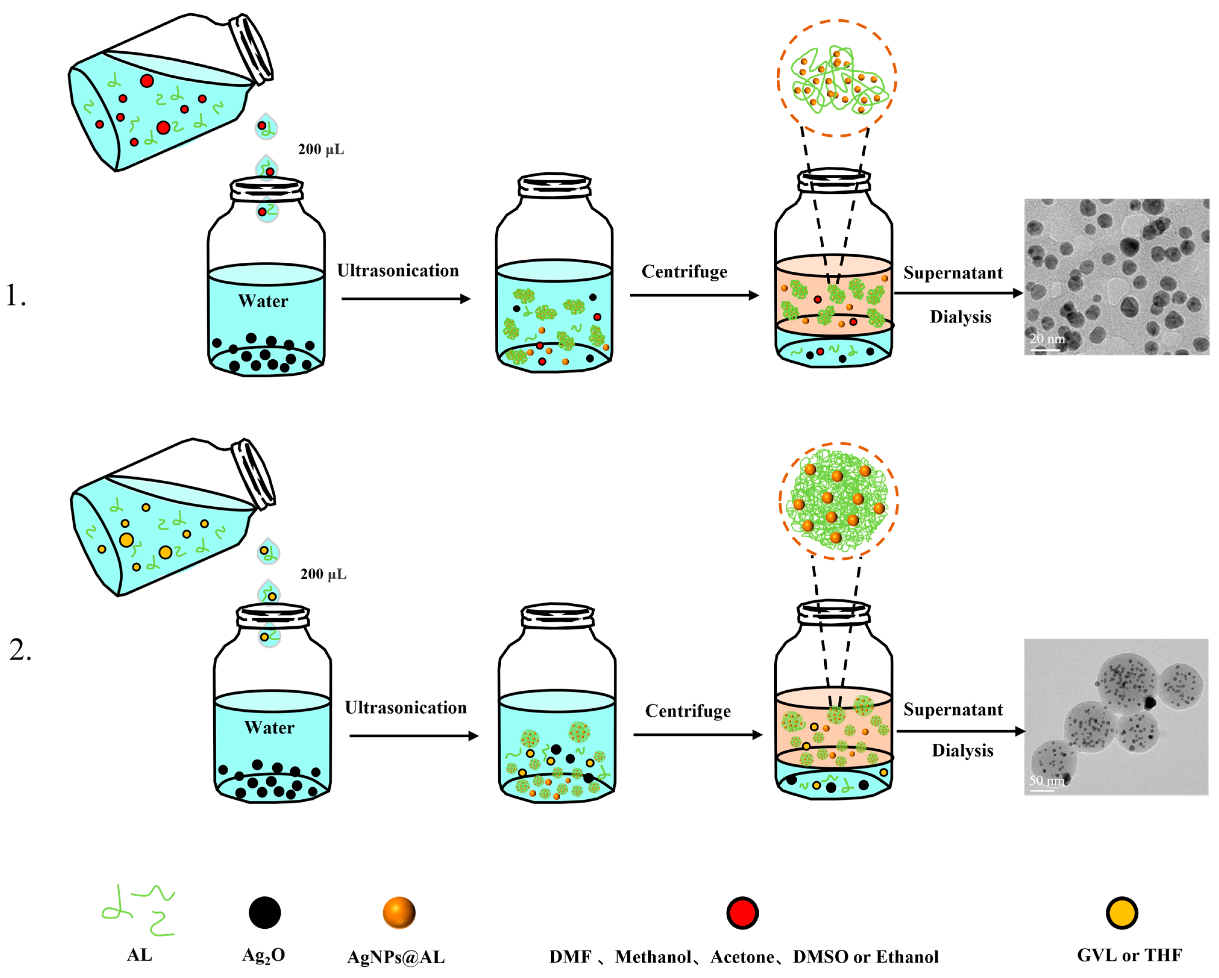 Nanomaterials 14 00957 sch001
