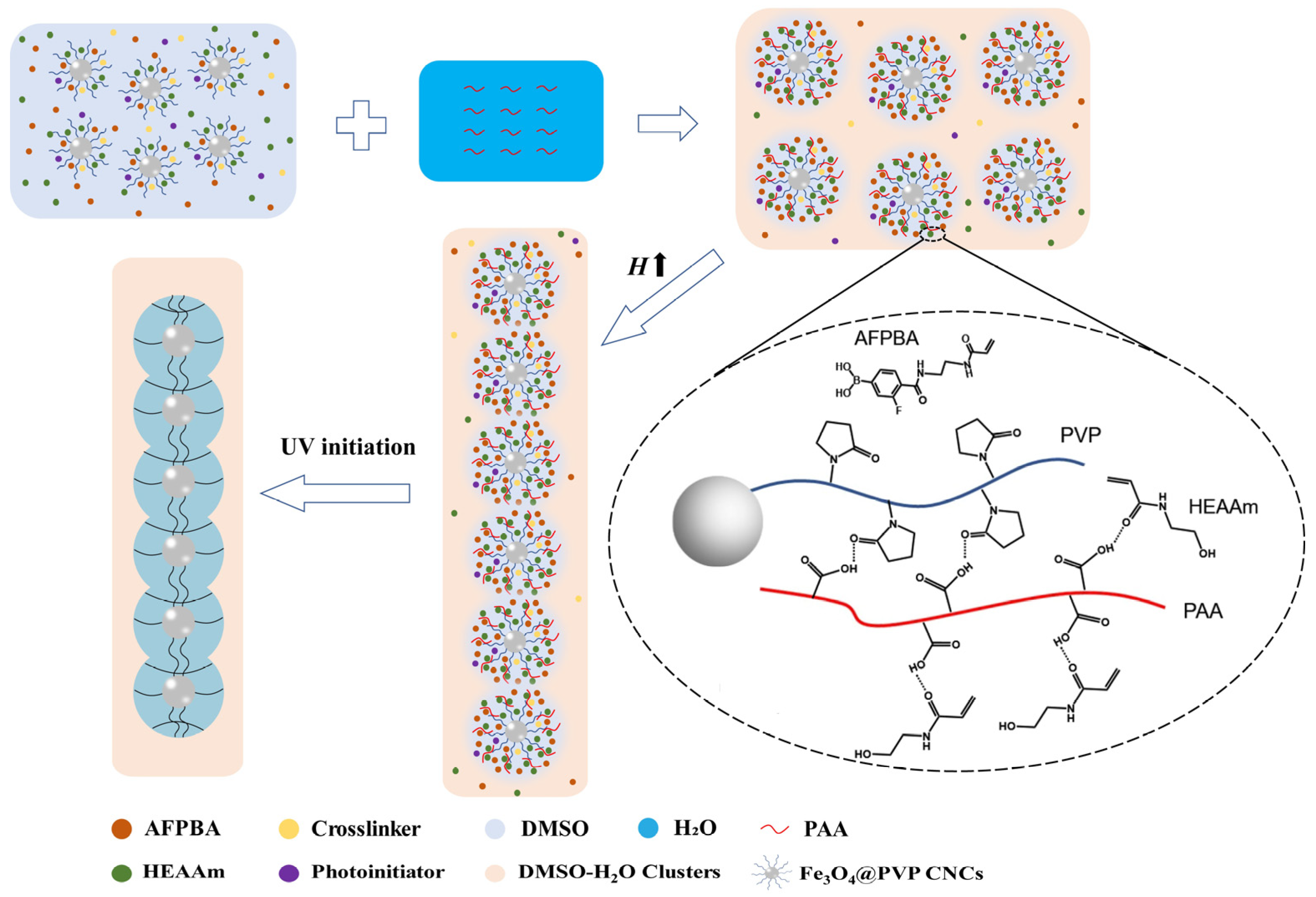 Nanomaterials 14 00964 g001
