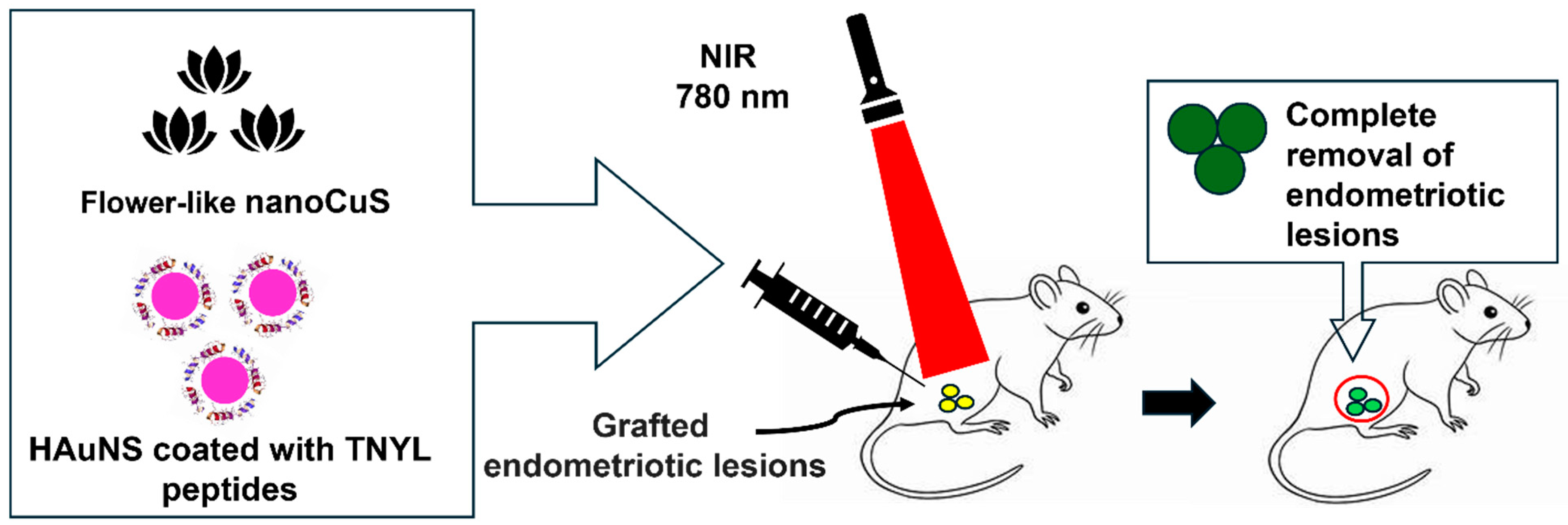 Nanomaterials 14 00976 g002