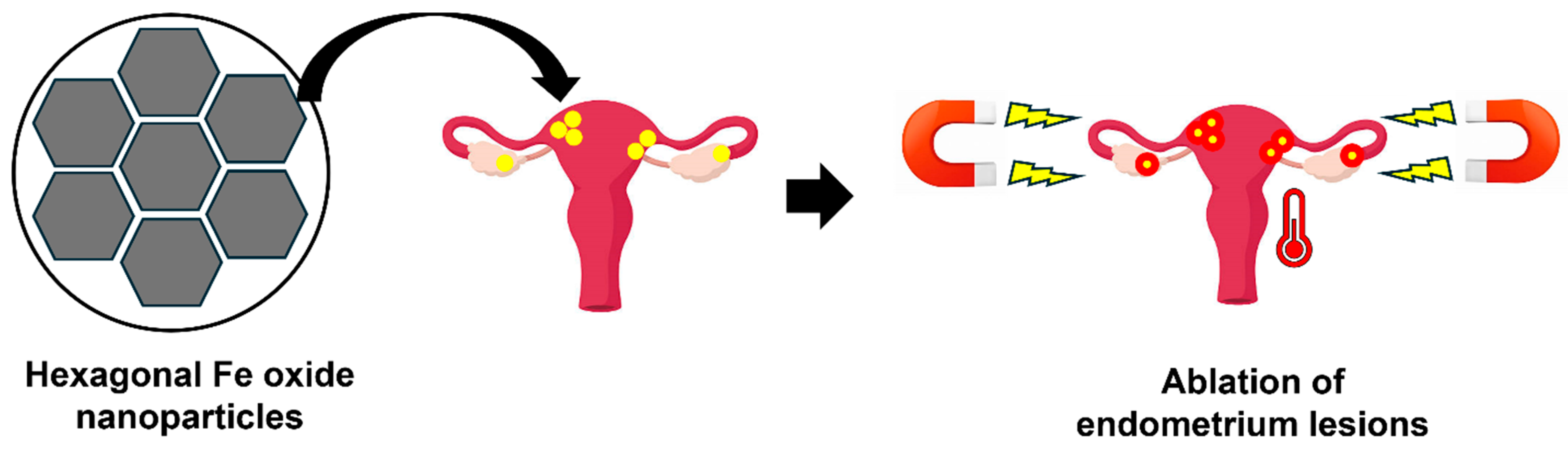 Nanomaterials 14 00976 g004