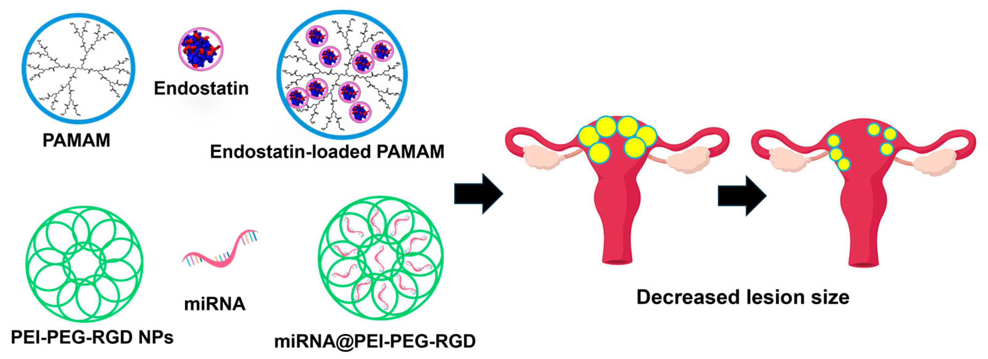 Nanomaterials 14 00976 g005