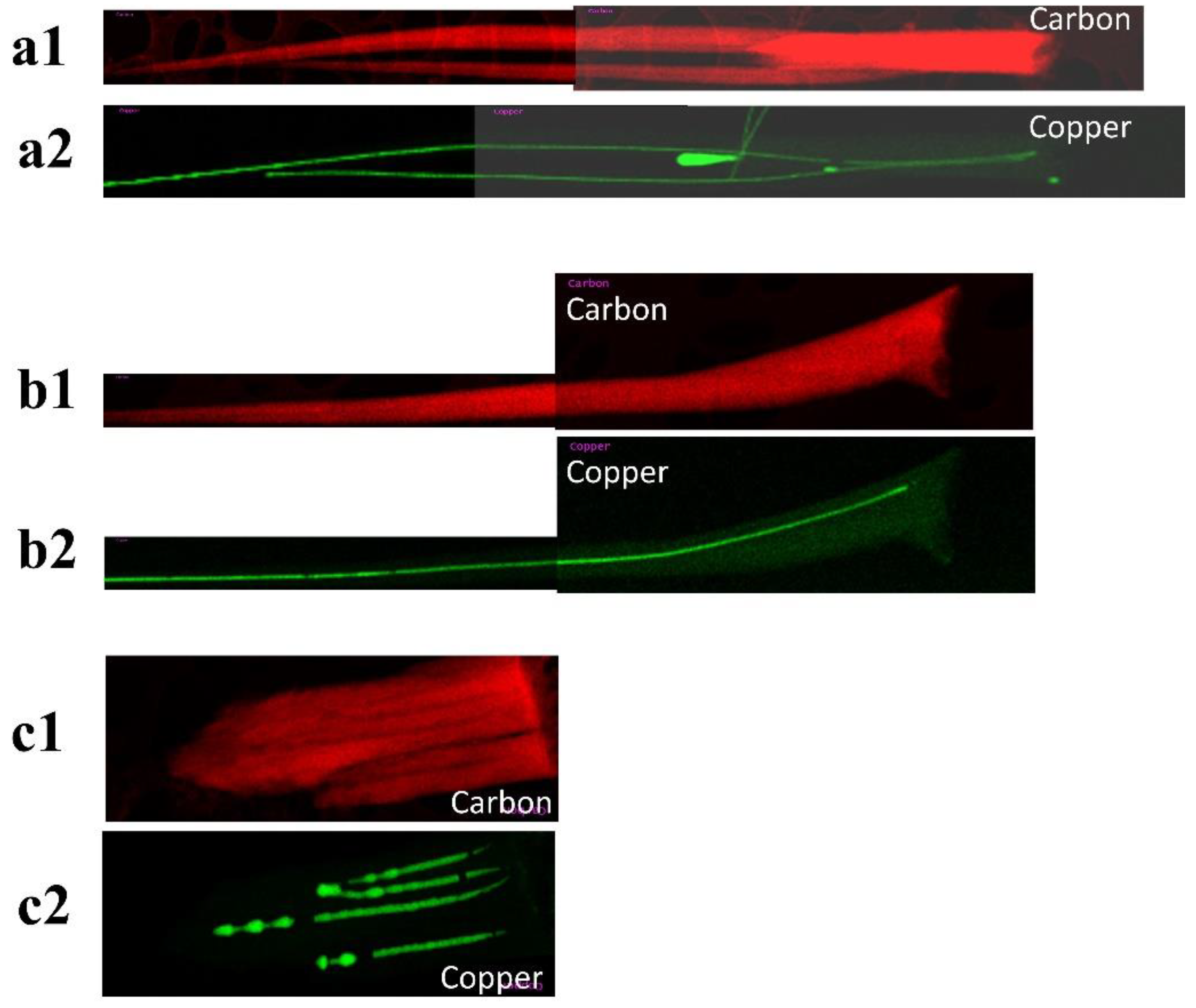 Nanomaterials 14 00988 g002