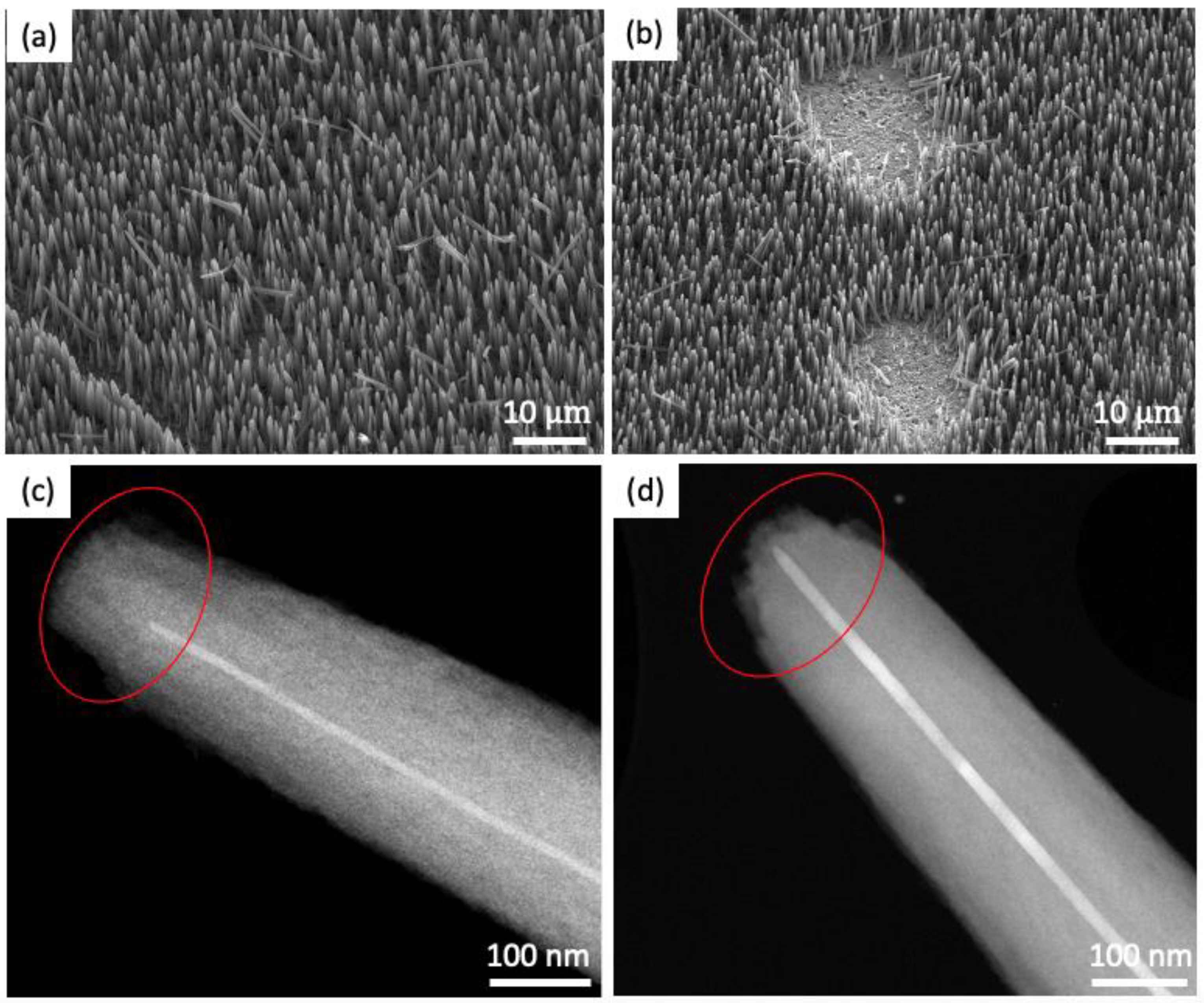 Nanomaterials 14 00988 g007