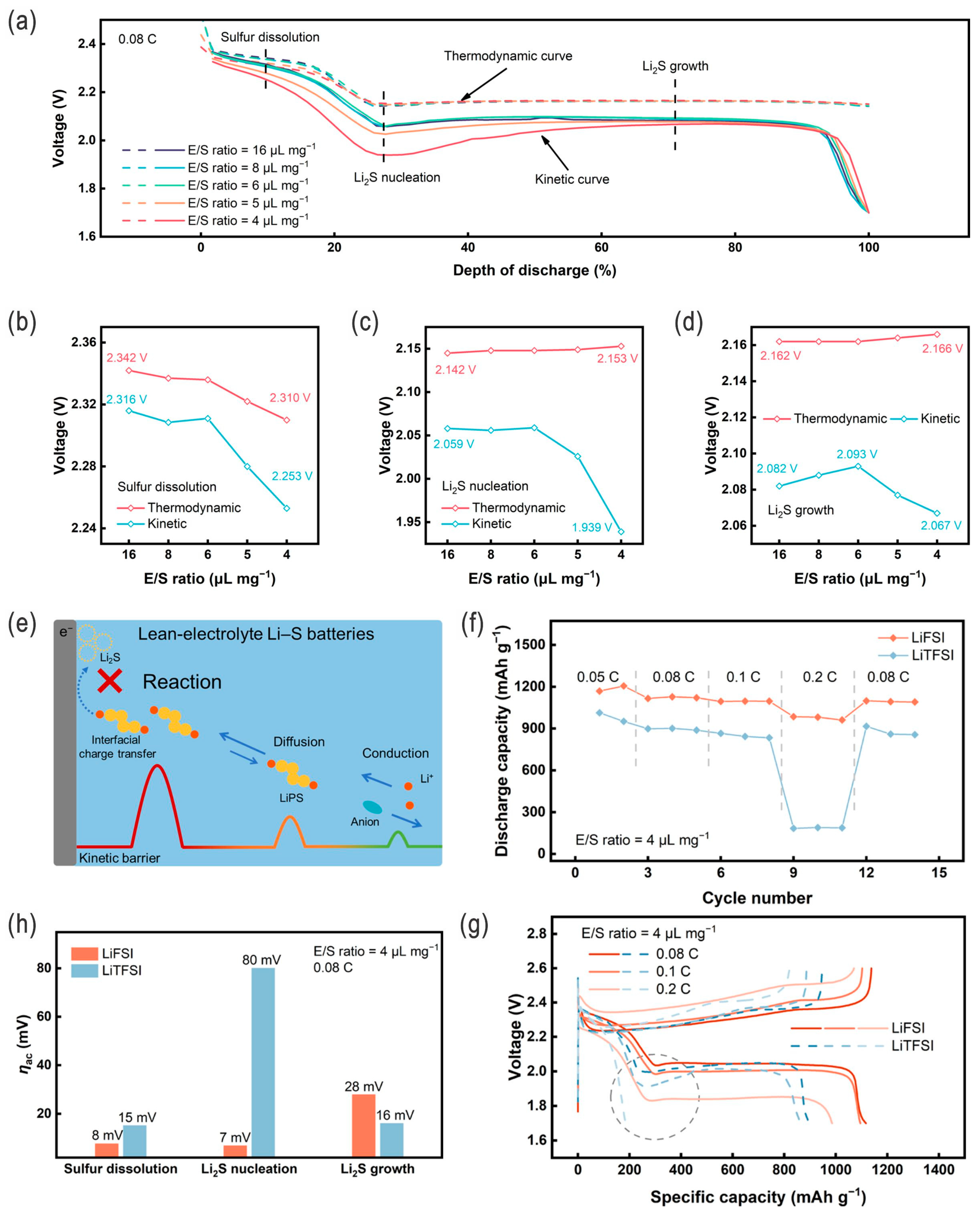 Nanomaterials 14 00990 g007